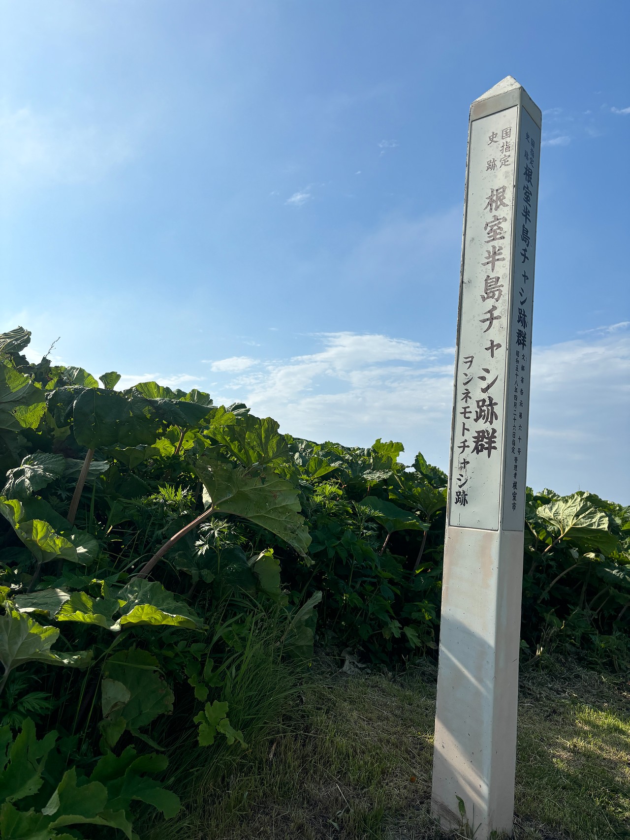 根室半島チャシ跡群-1