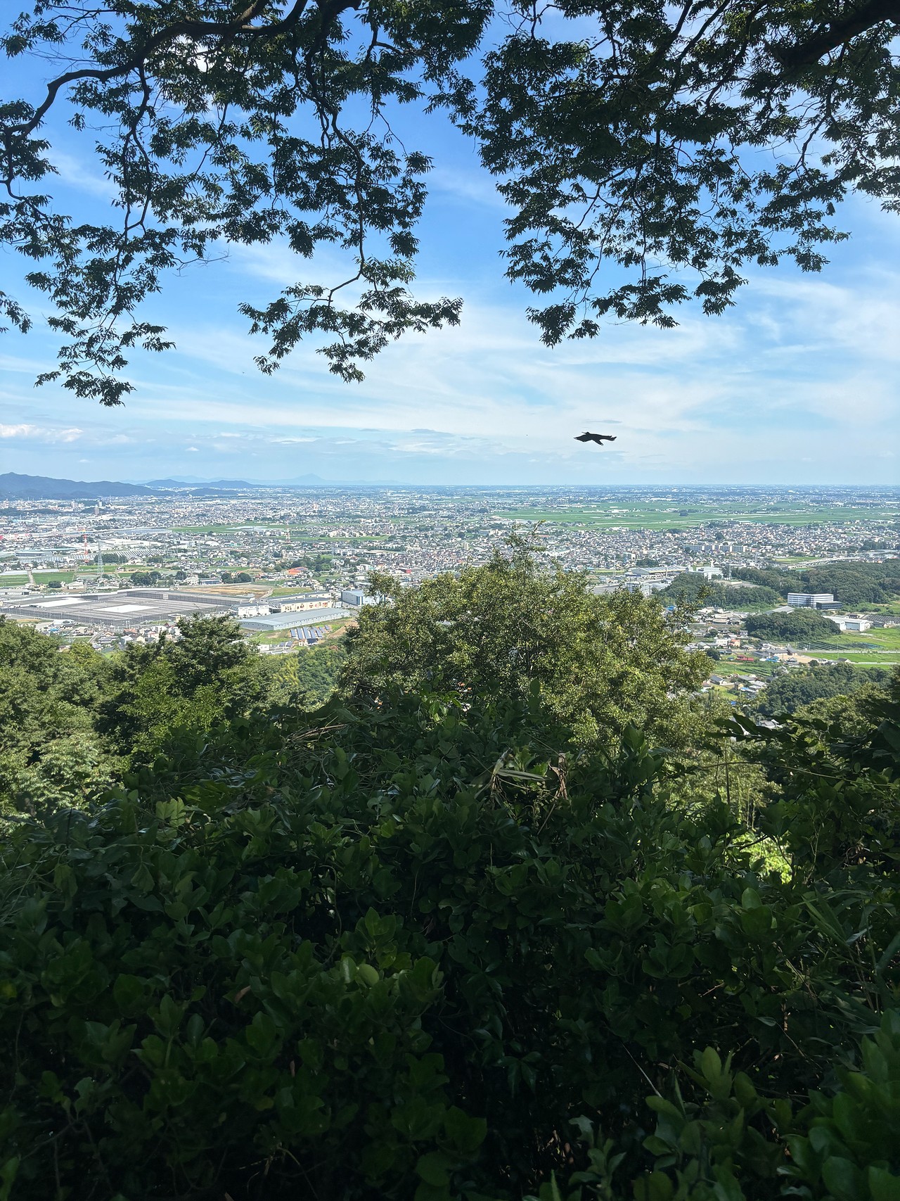 金山城-2