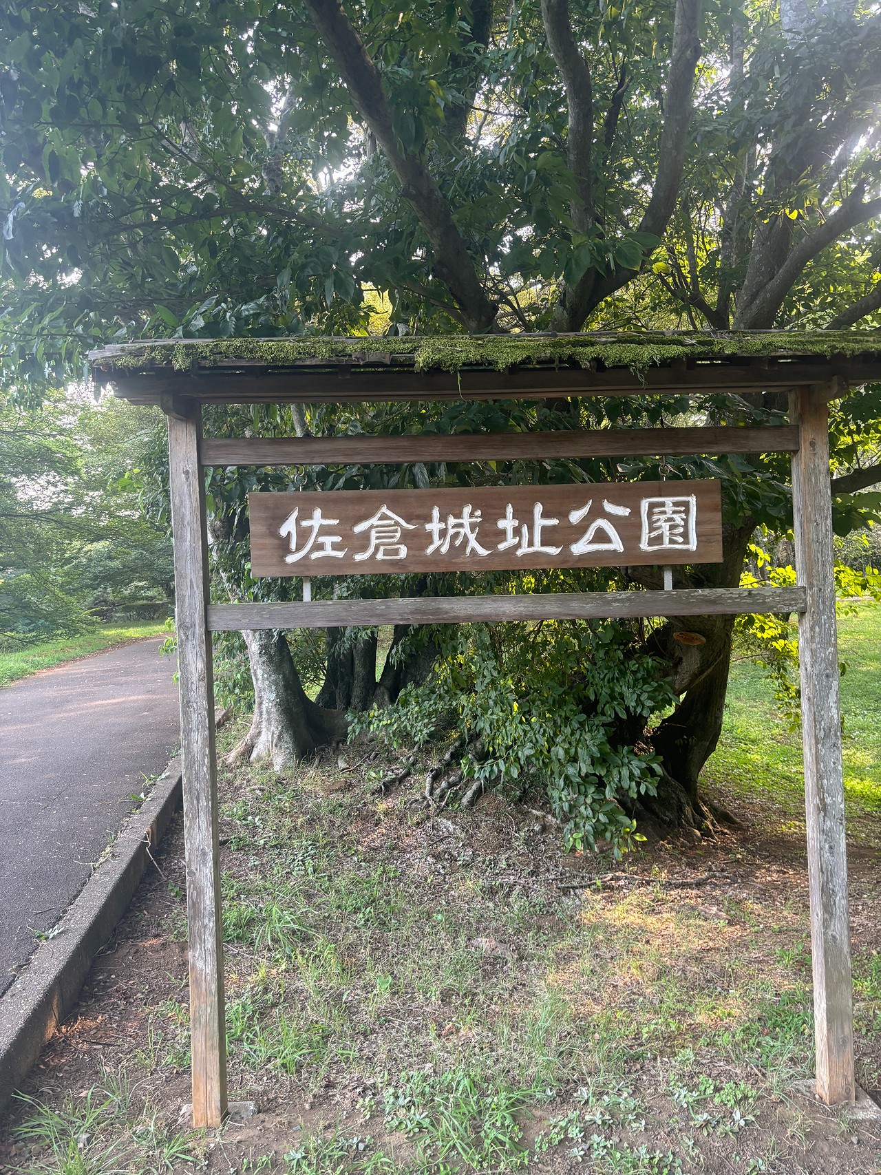 佐倉城-5