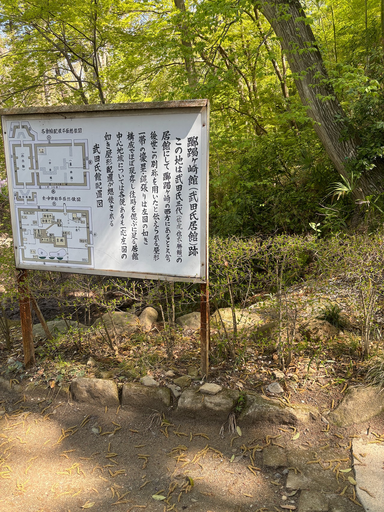 武田氏館-4