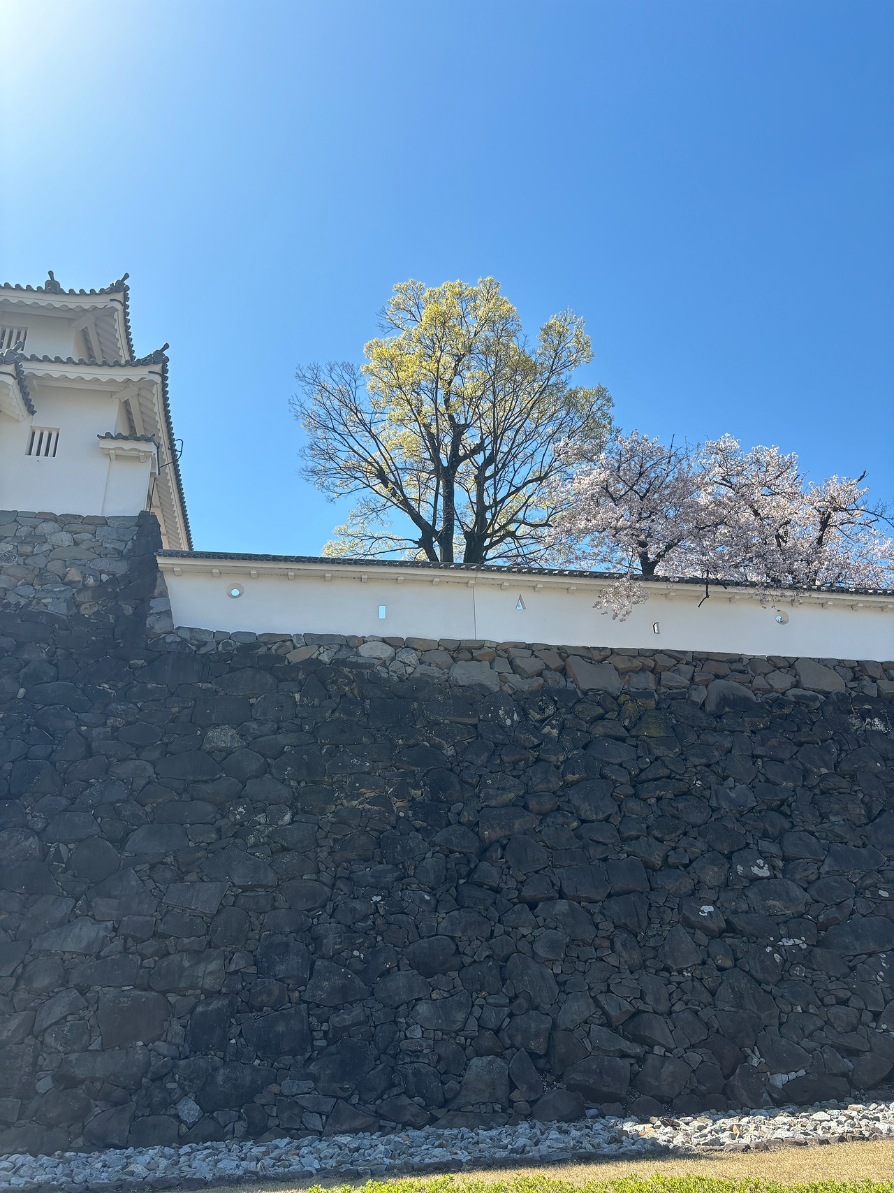 甲府城-5