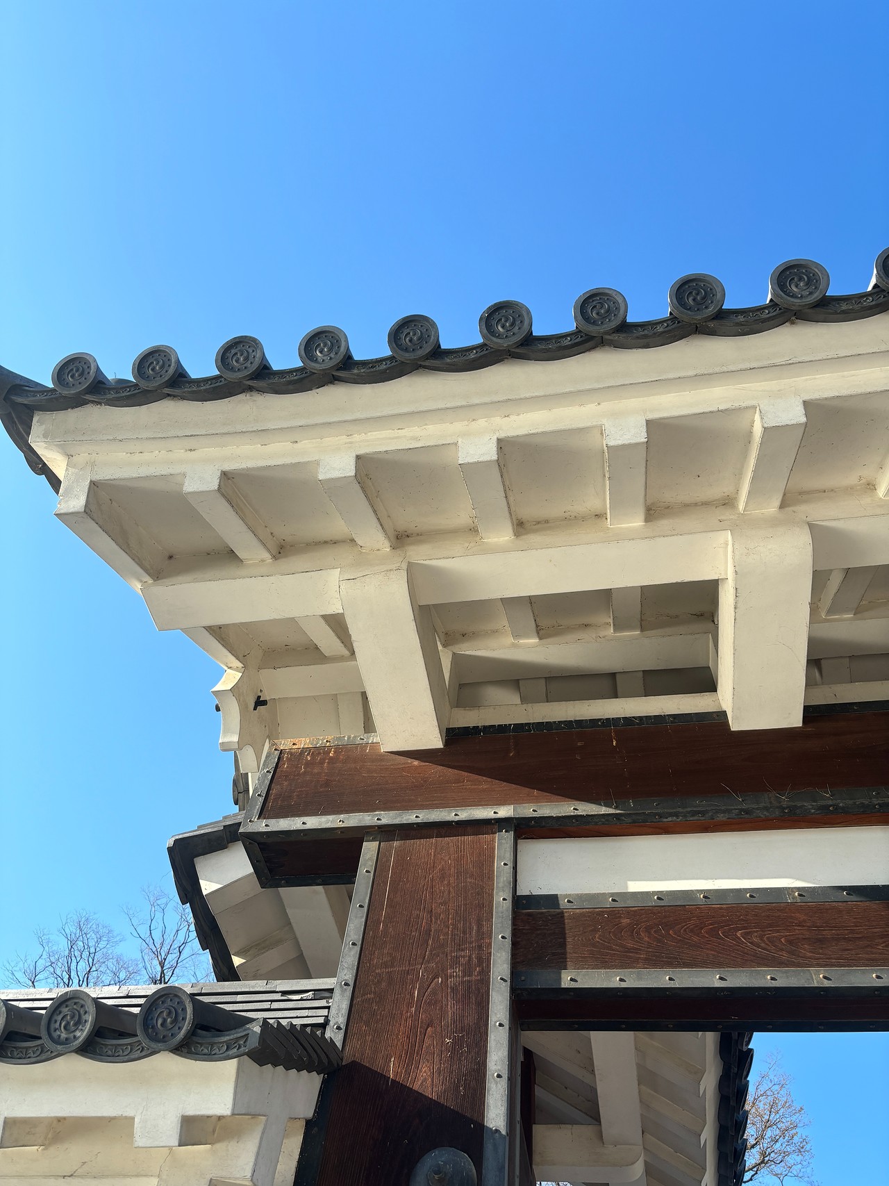 松本城-3
