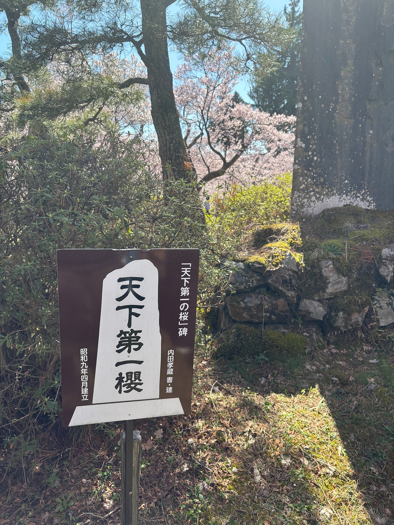 高遠城-5