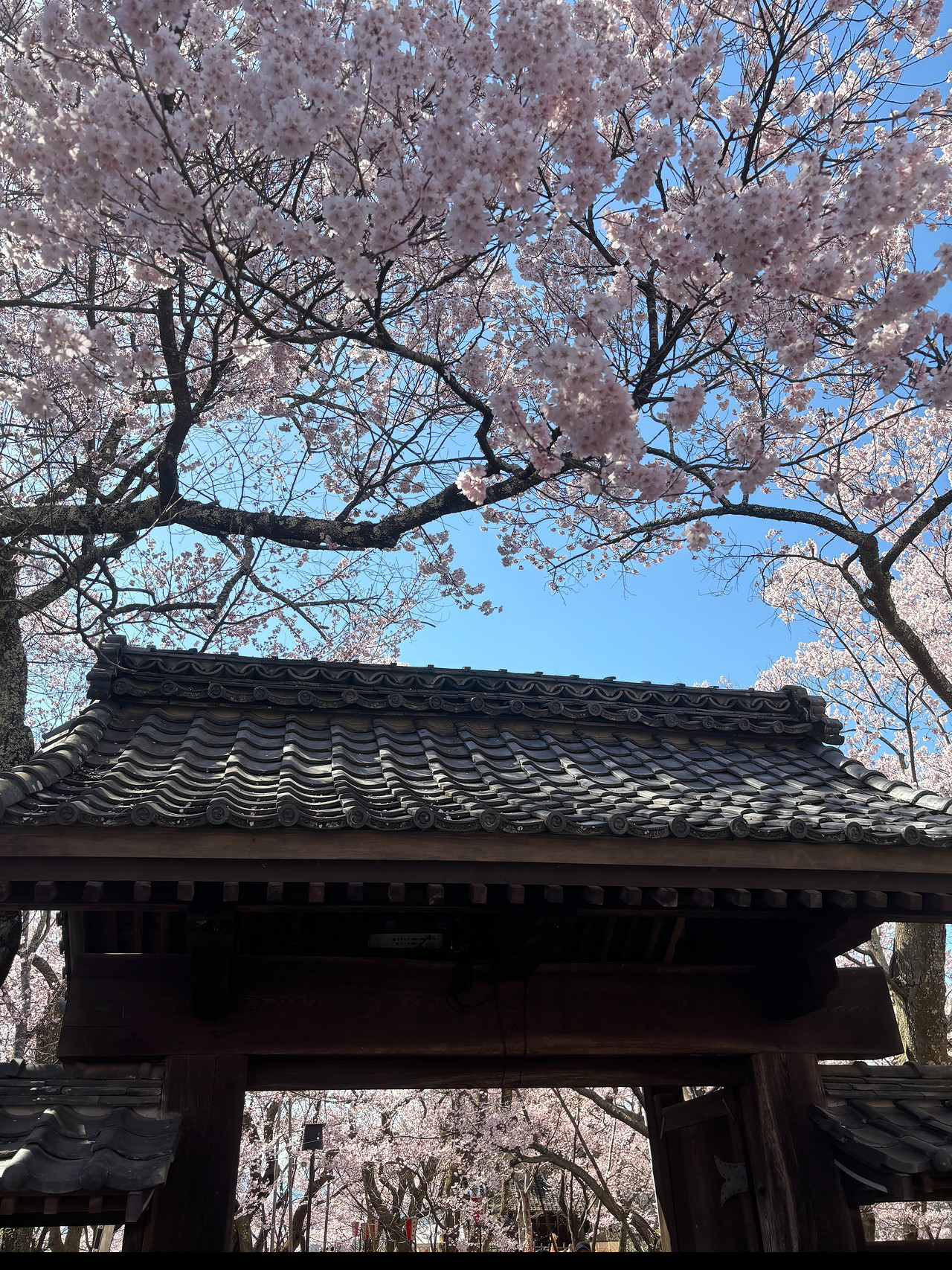 高遠城-2