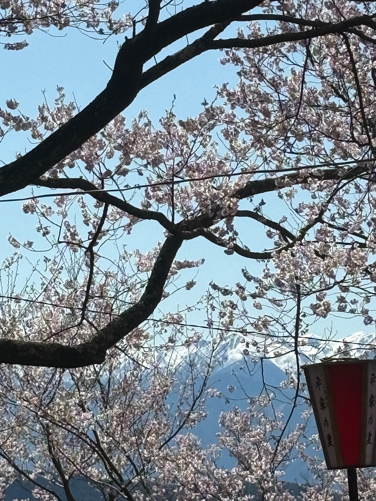 高遠城-3