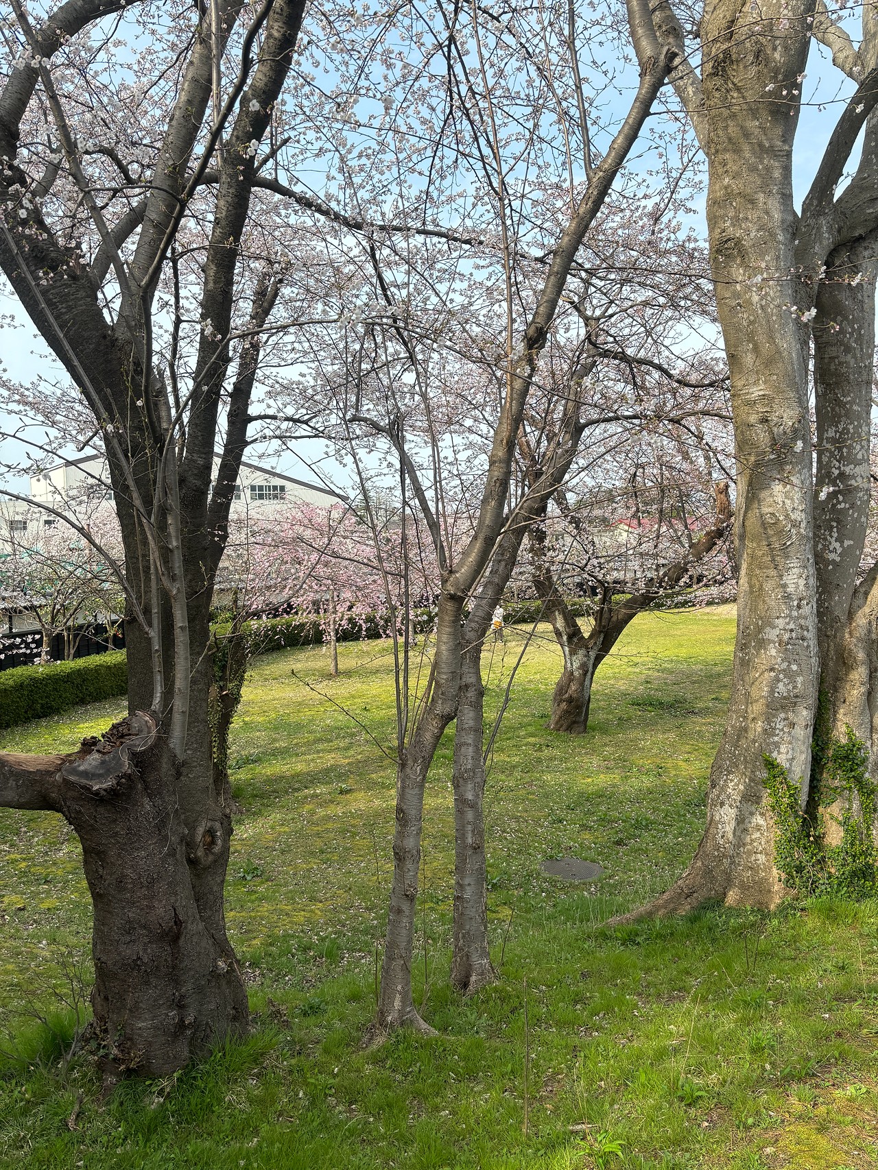 新発田城-5