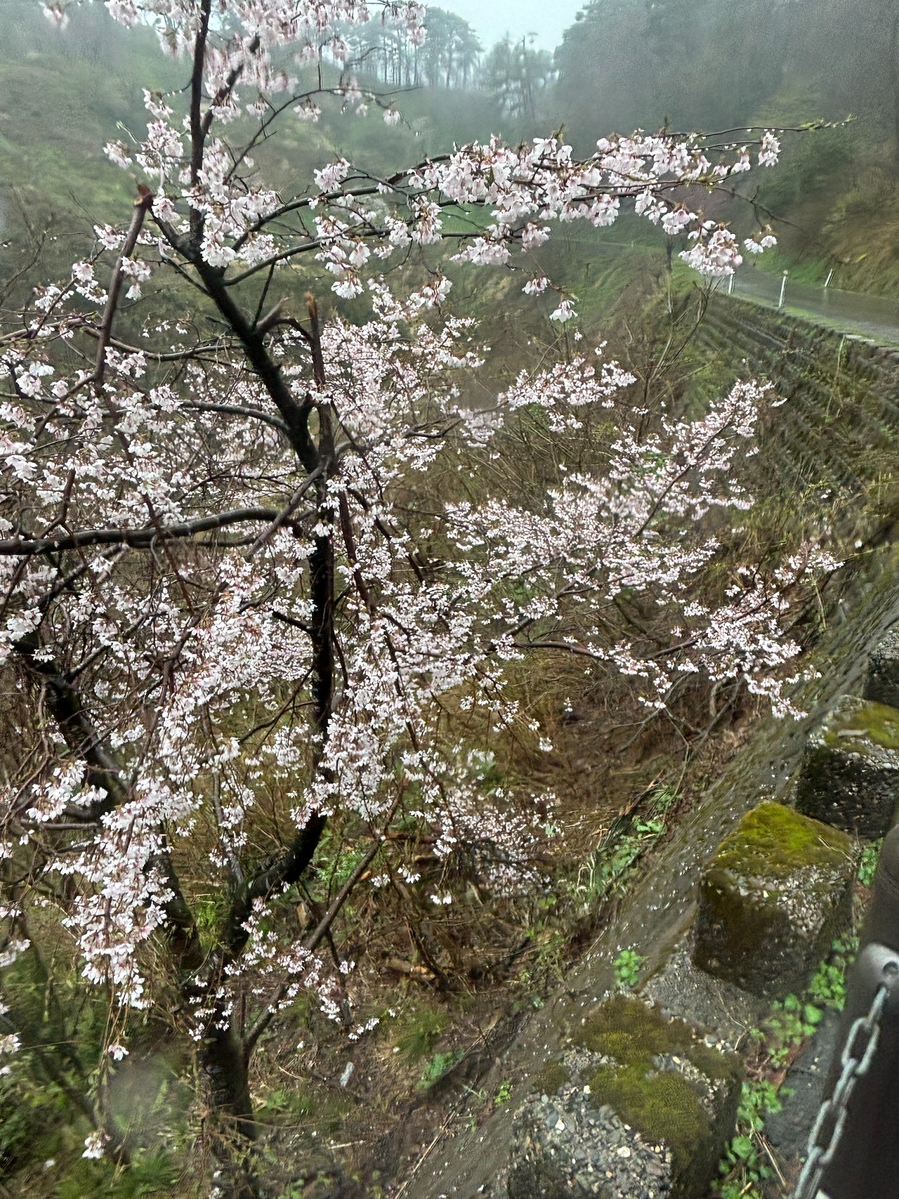 春日山城-1