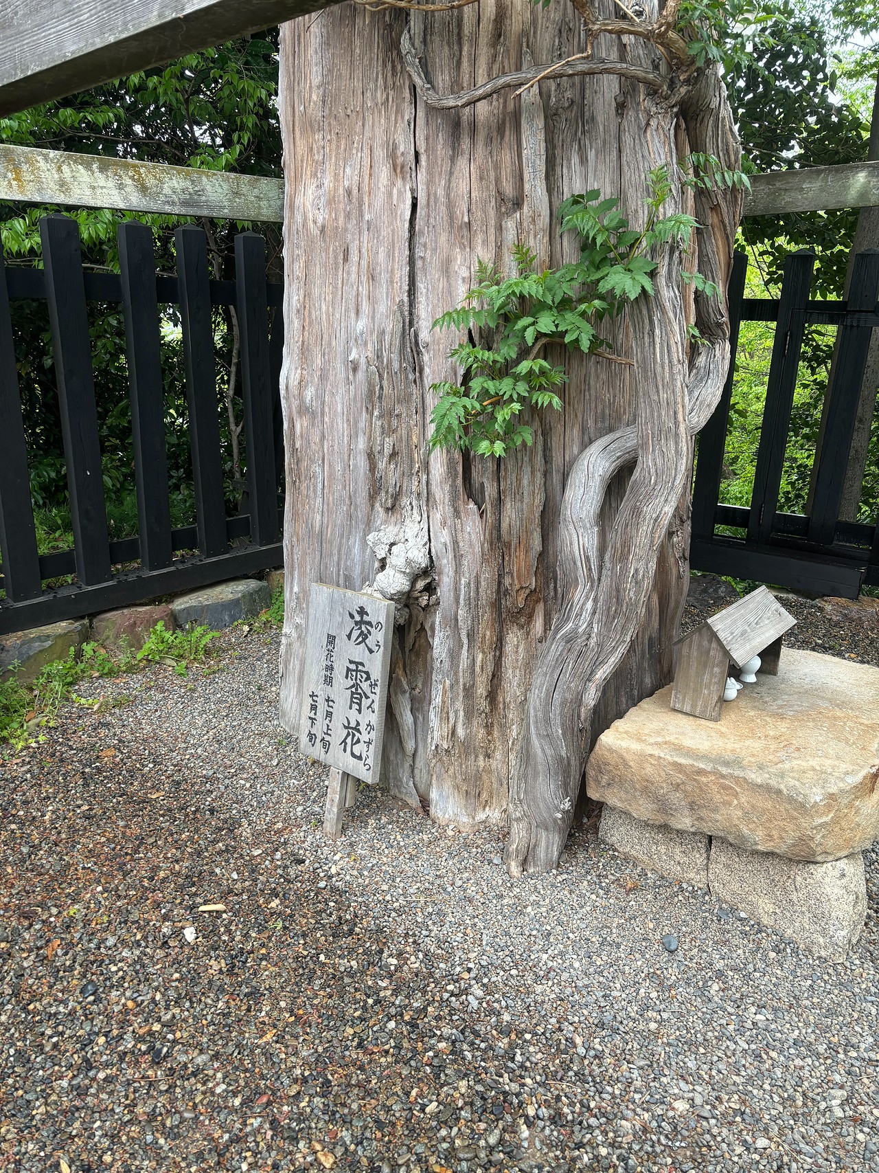 犬山城-1