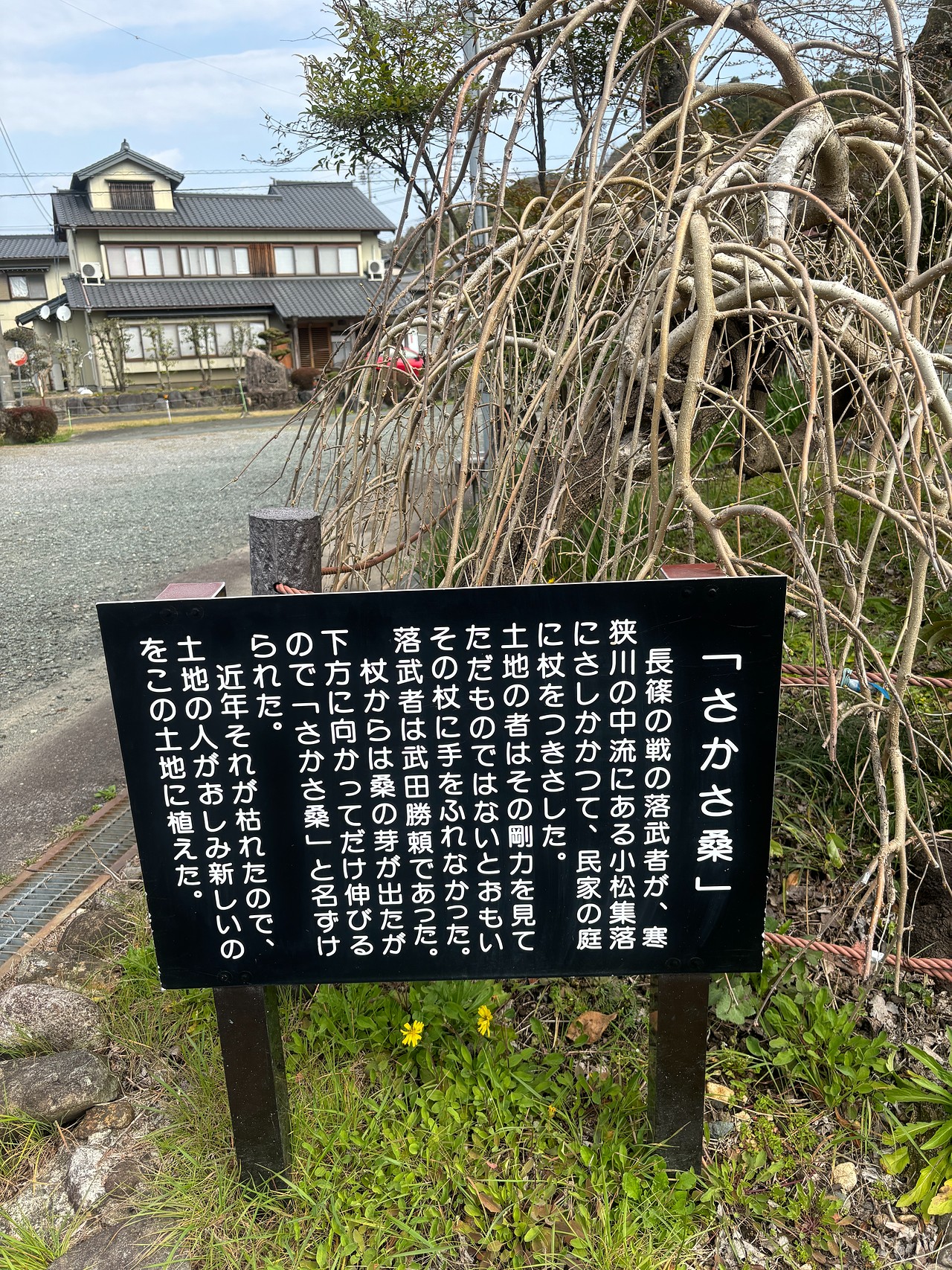 長篠城-2