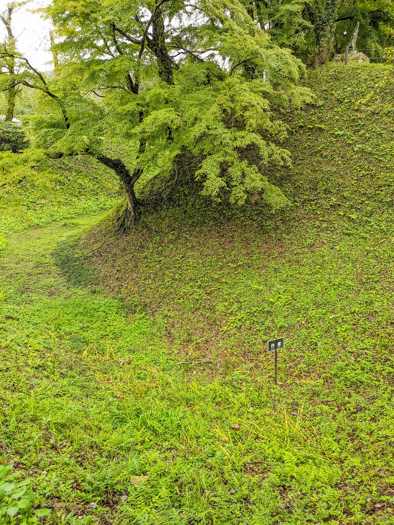 長篠城-3
