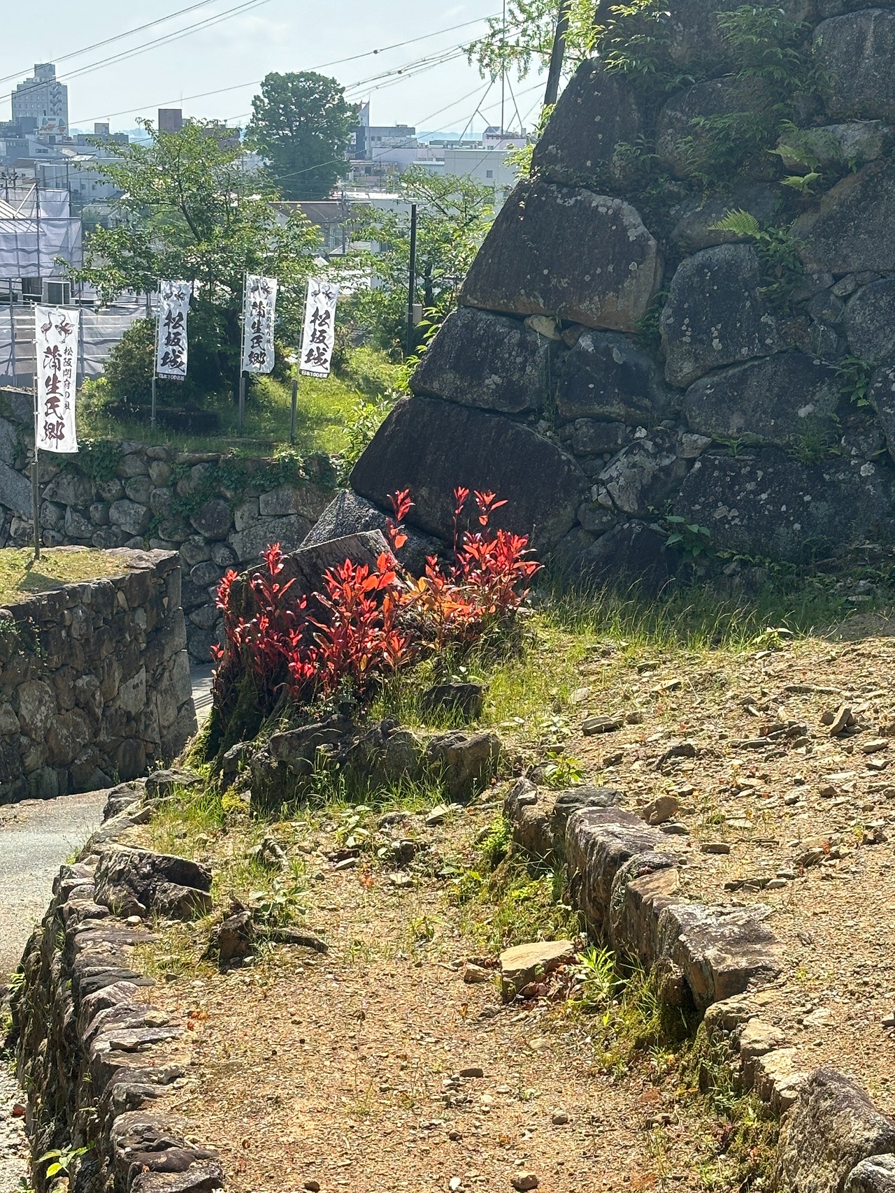 松坂城-3