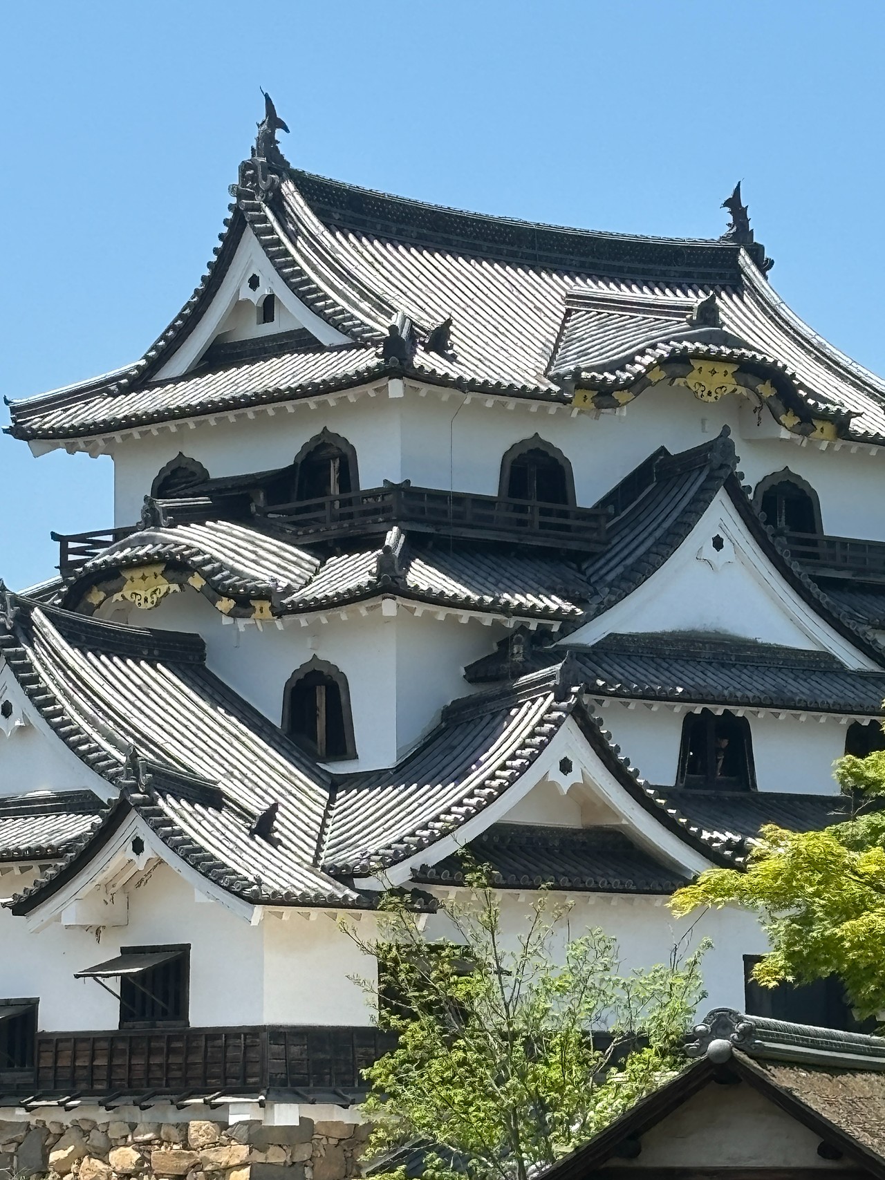 彦根城-5