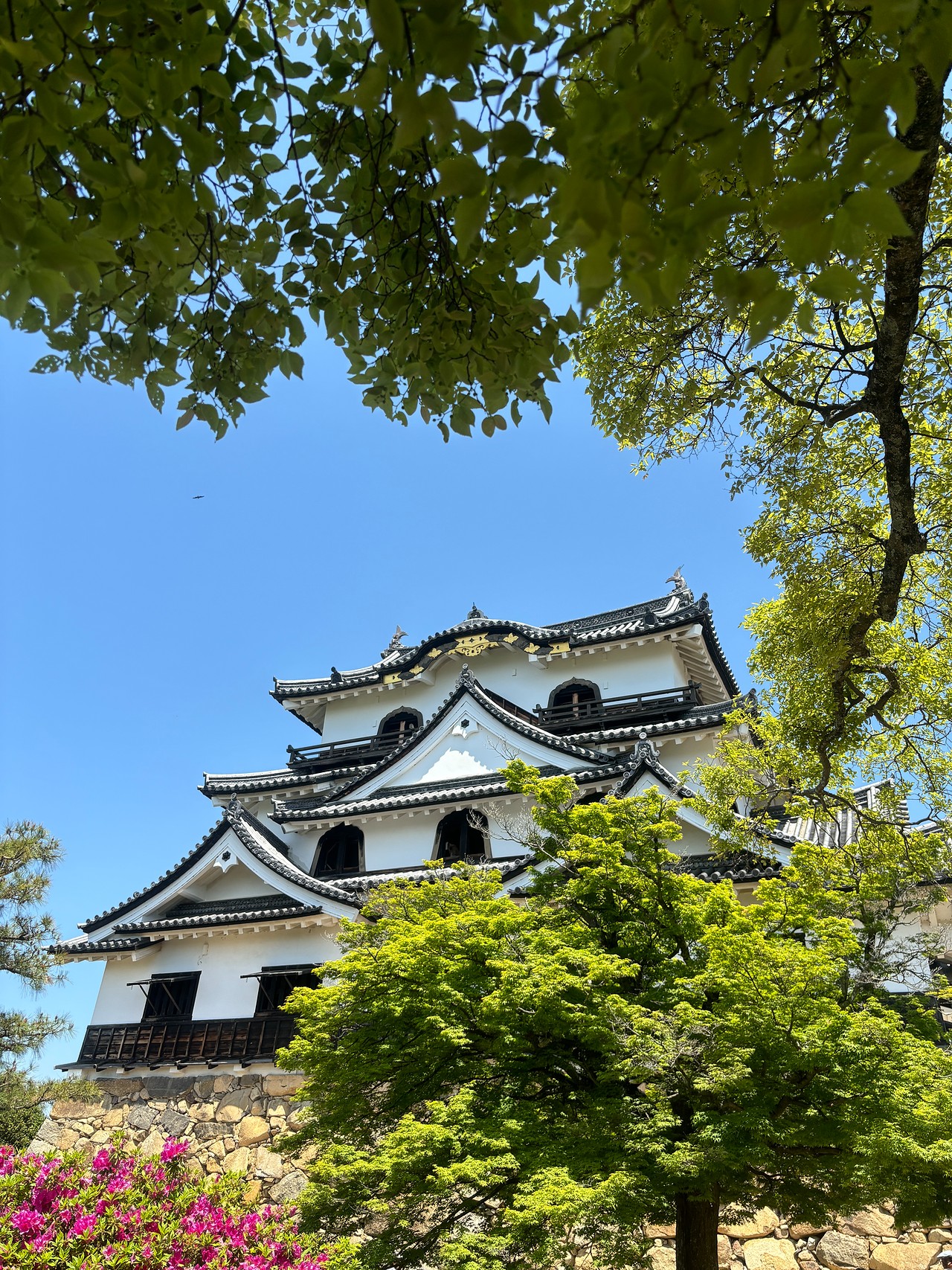 彦根城-4