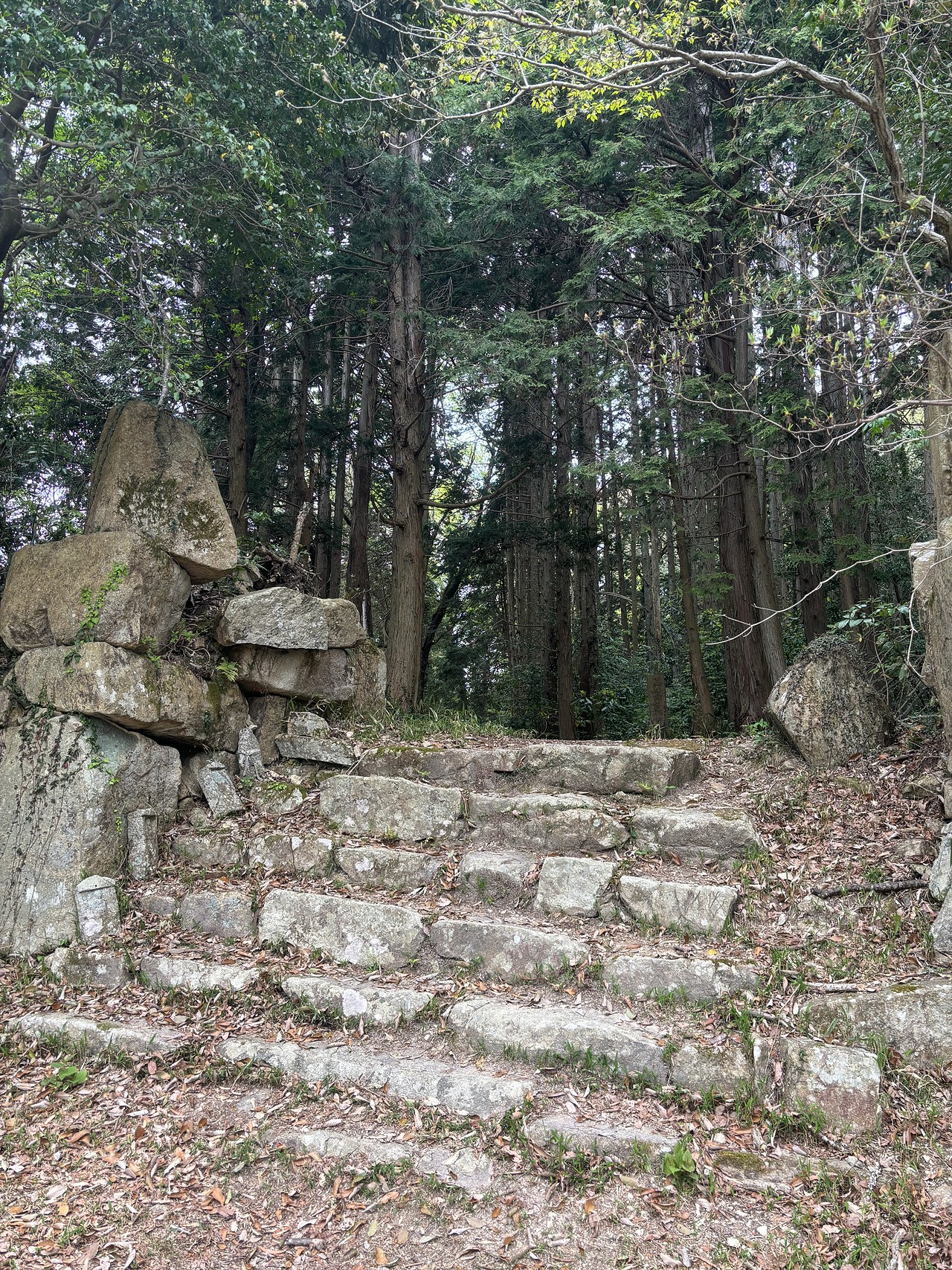 観音寺城-2