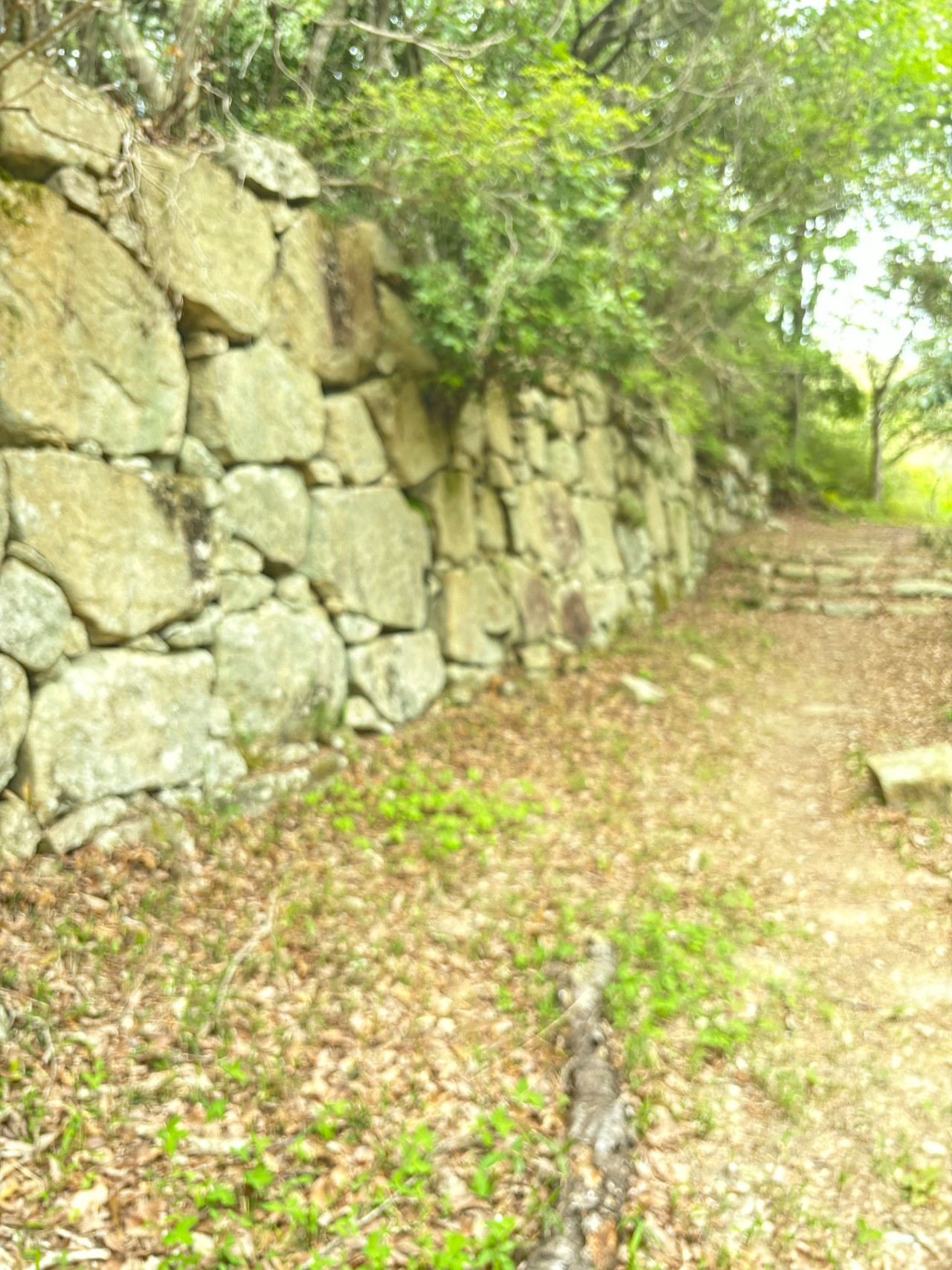 観音寺城-3