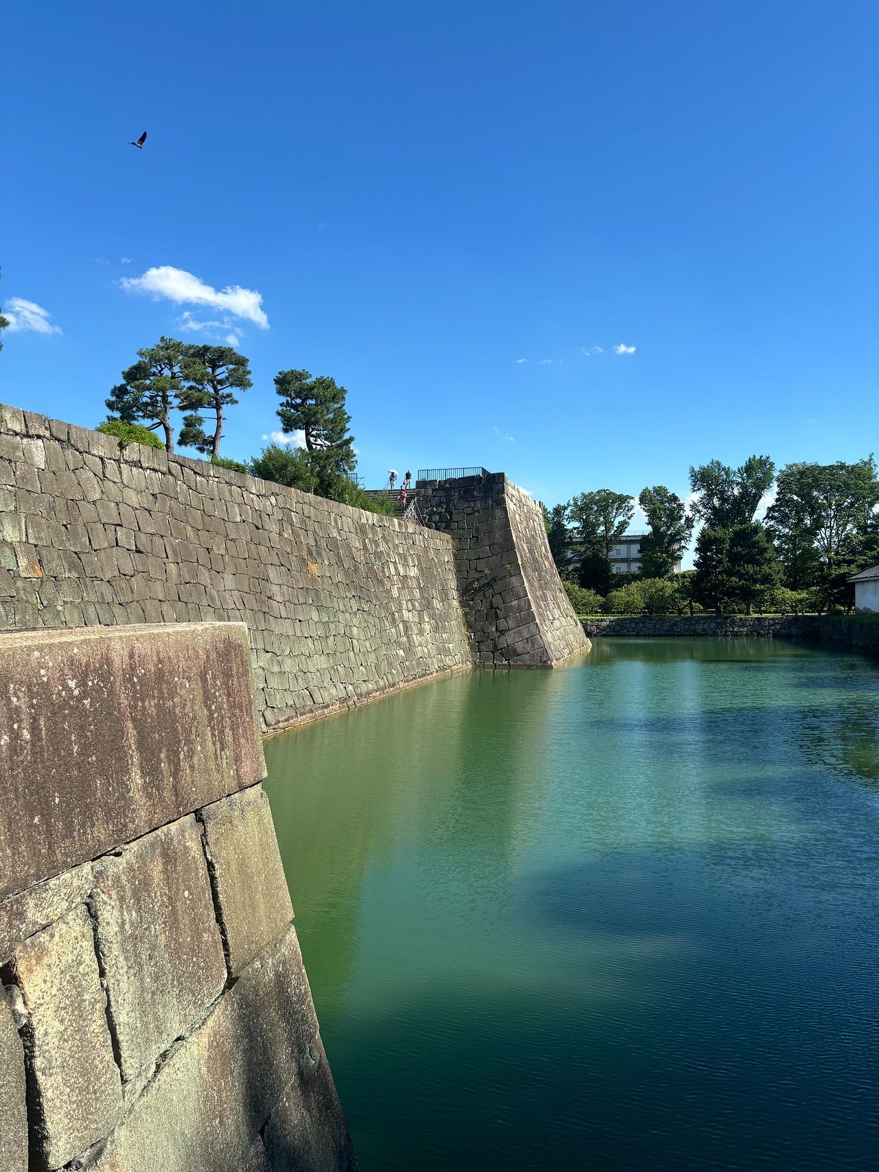 二条城-3