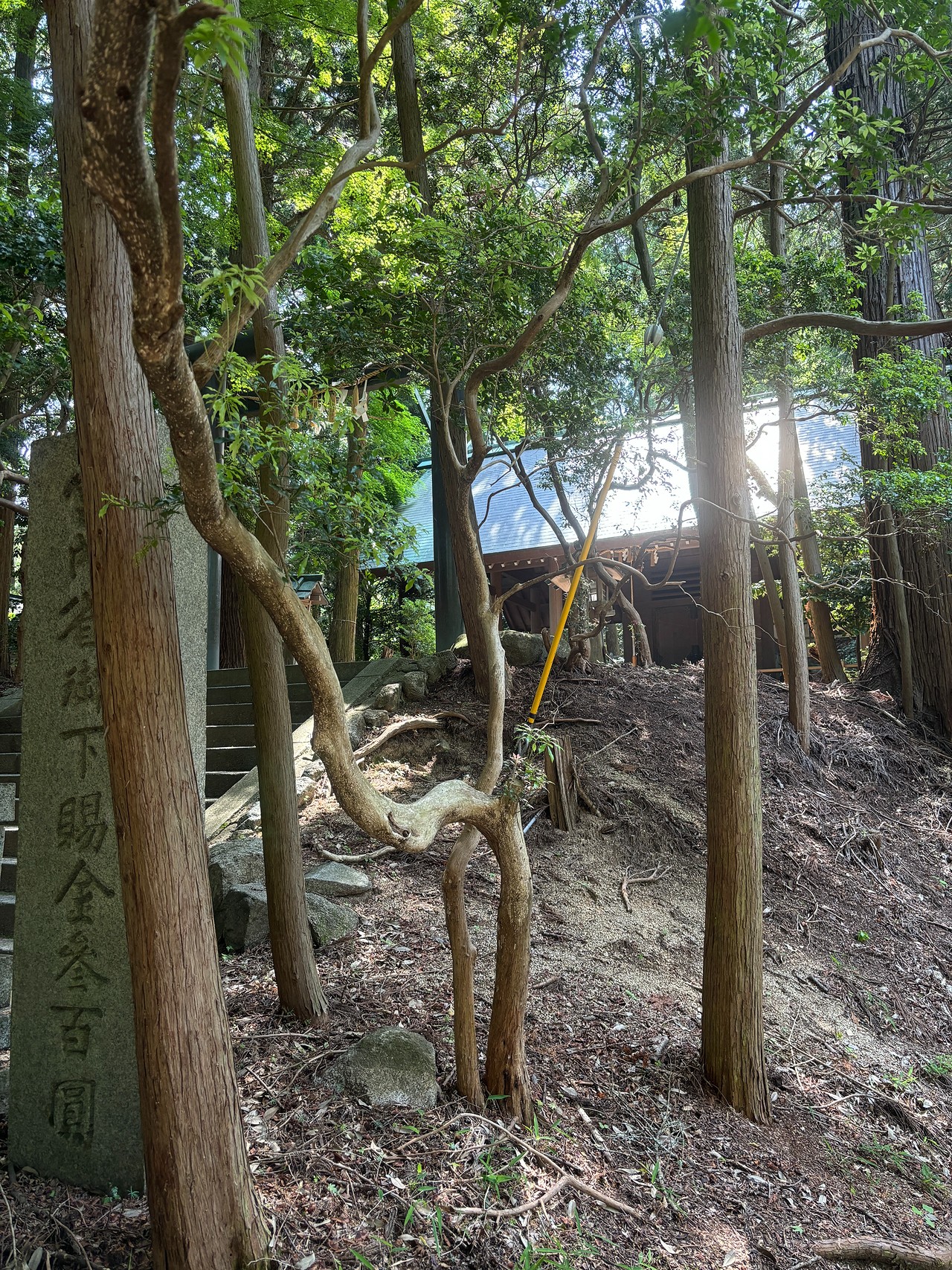 千早城-5