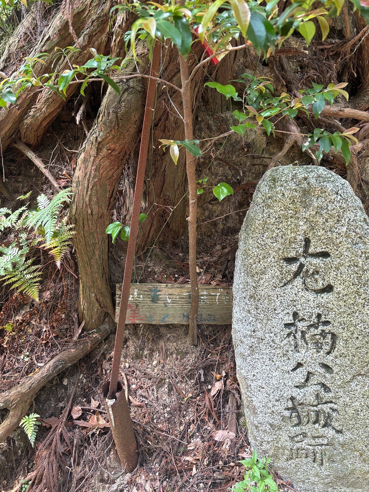 千早城-2