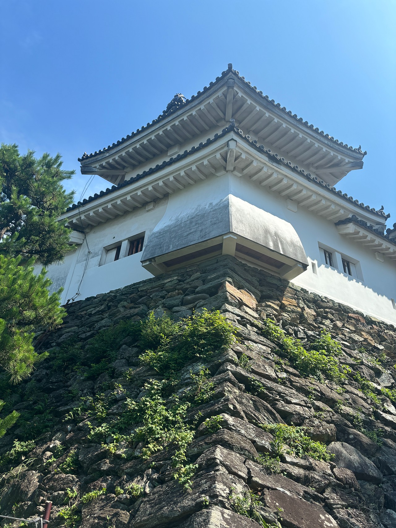 和歌山城-5