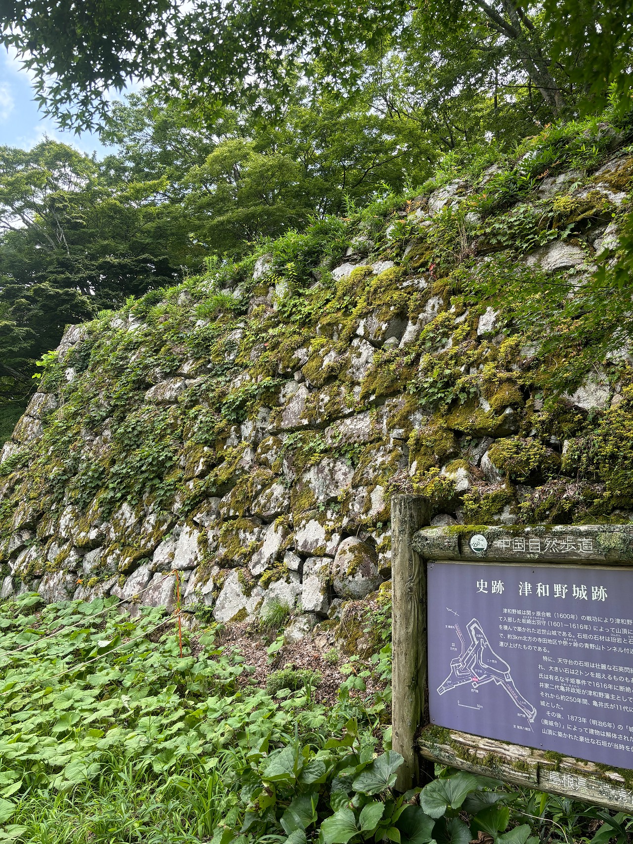 津和野城-2