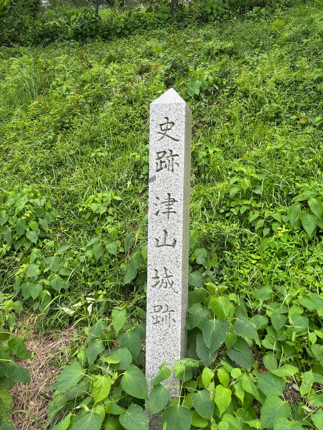 津山城-5