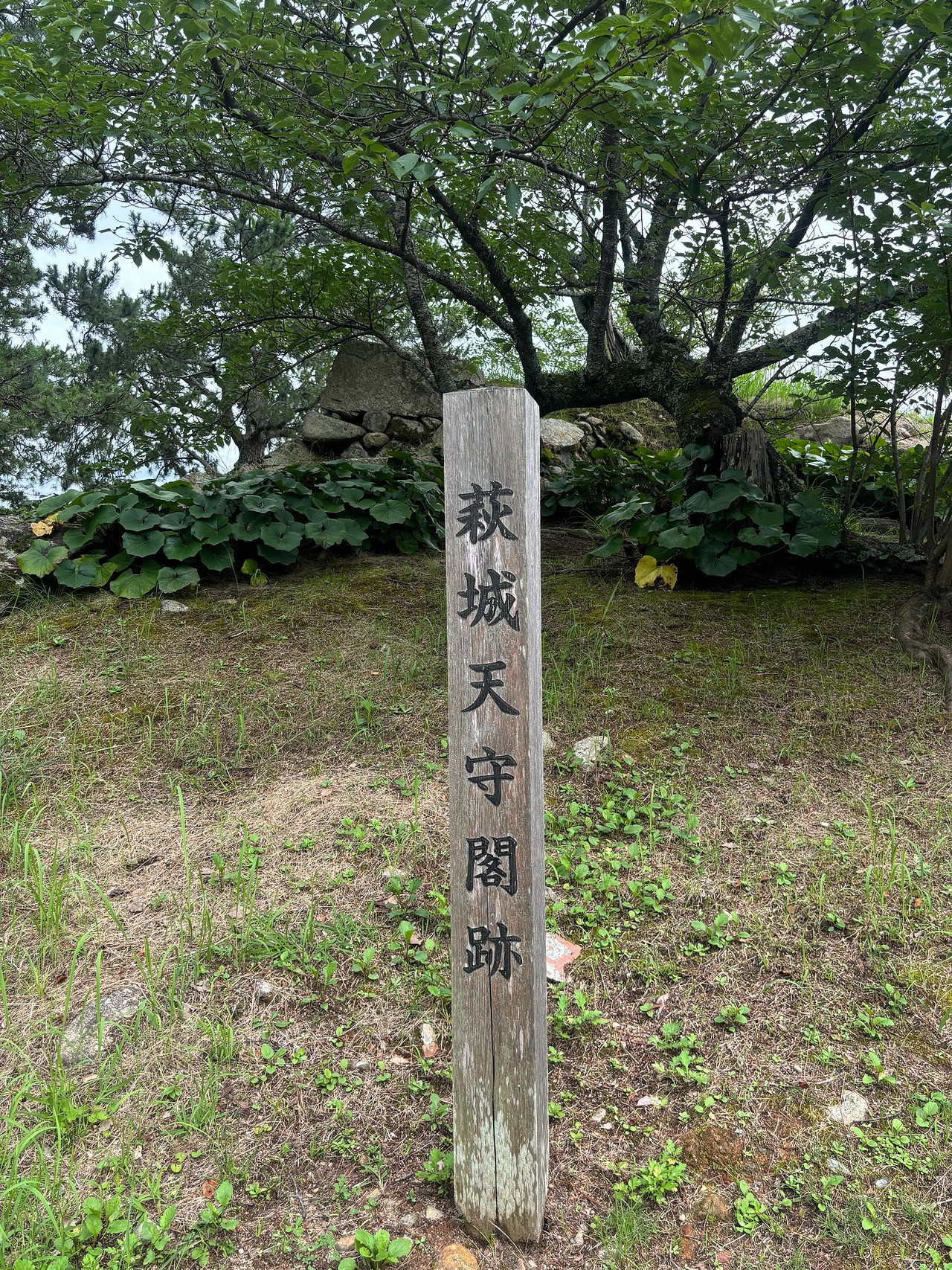 萩城-3
