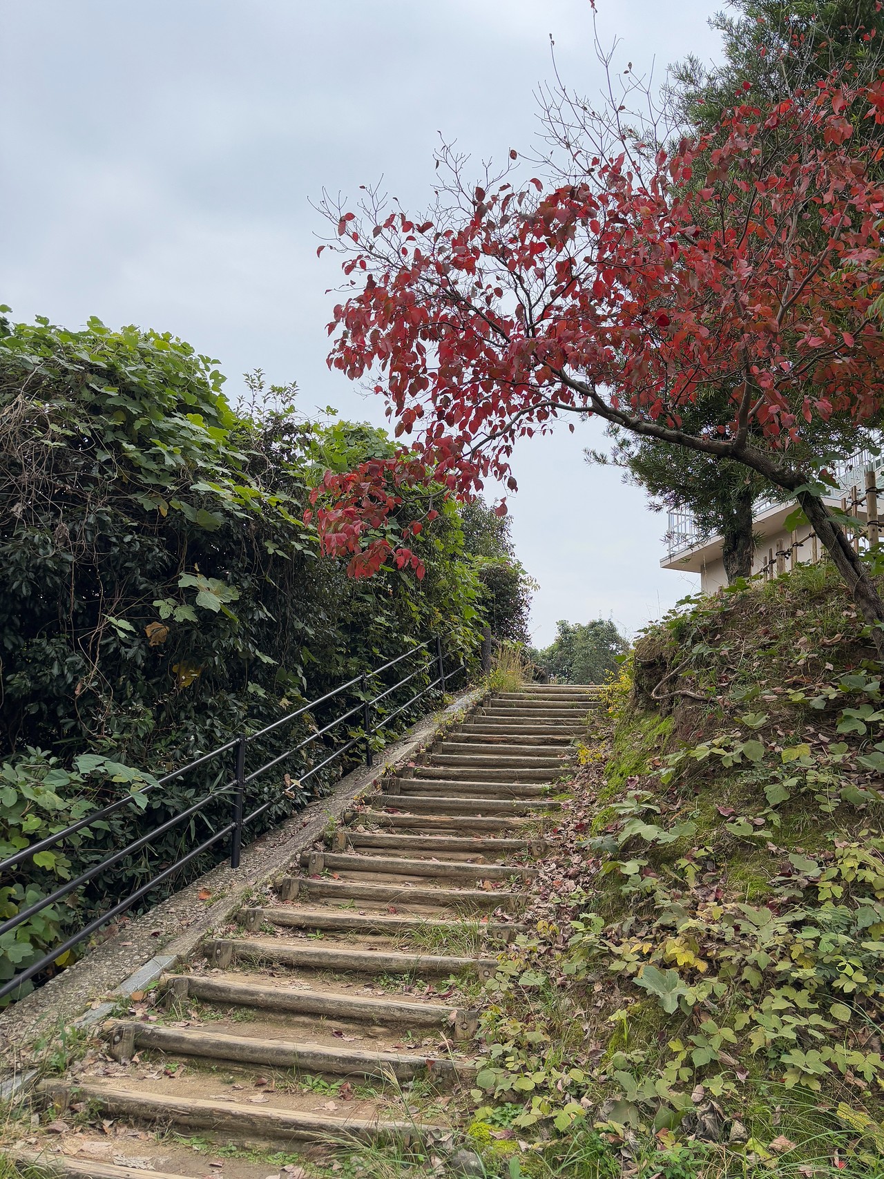 湯築城-2