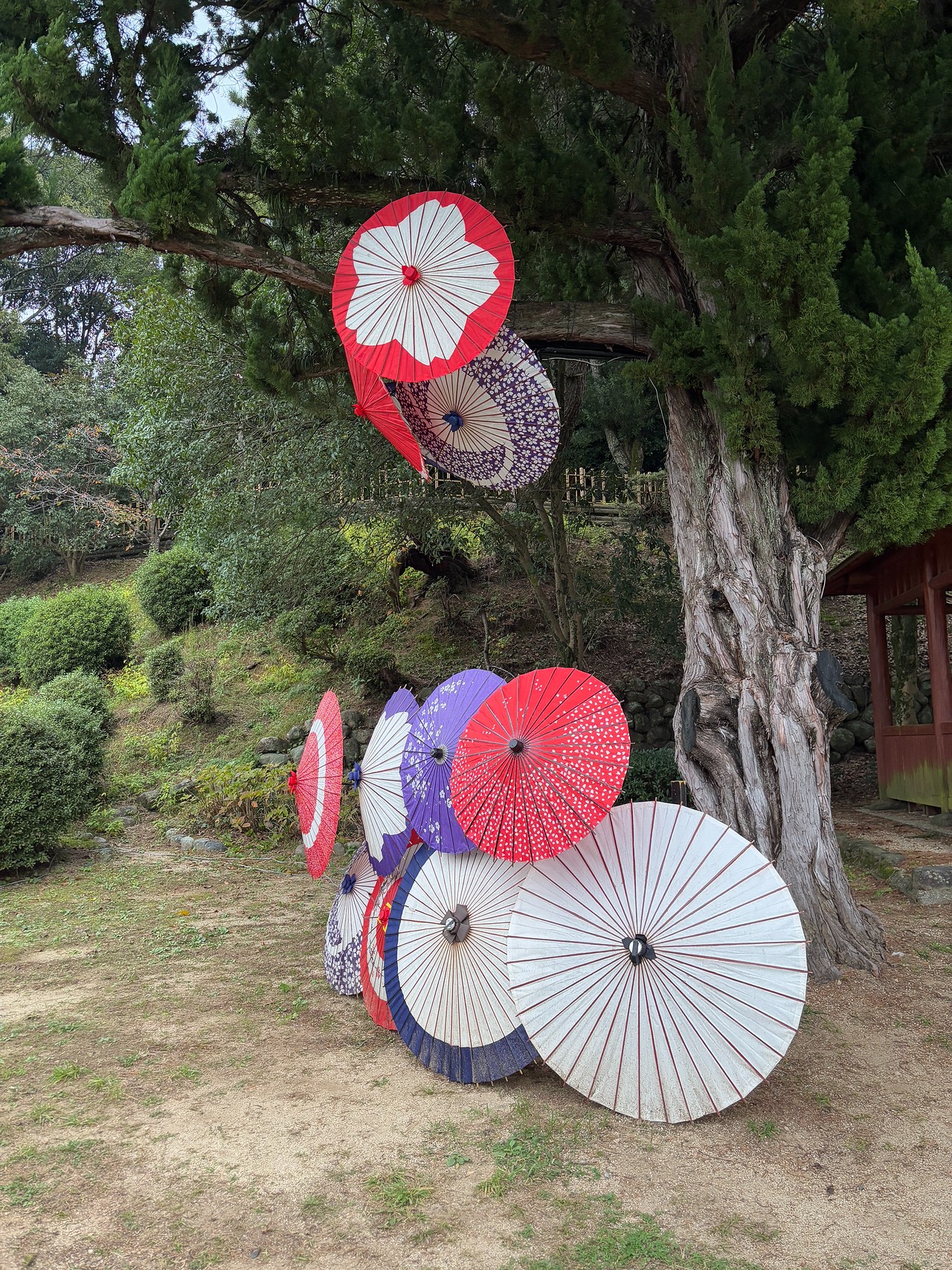 湯築城-3