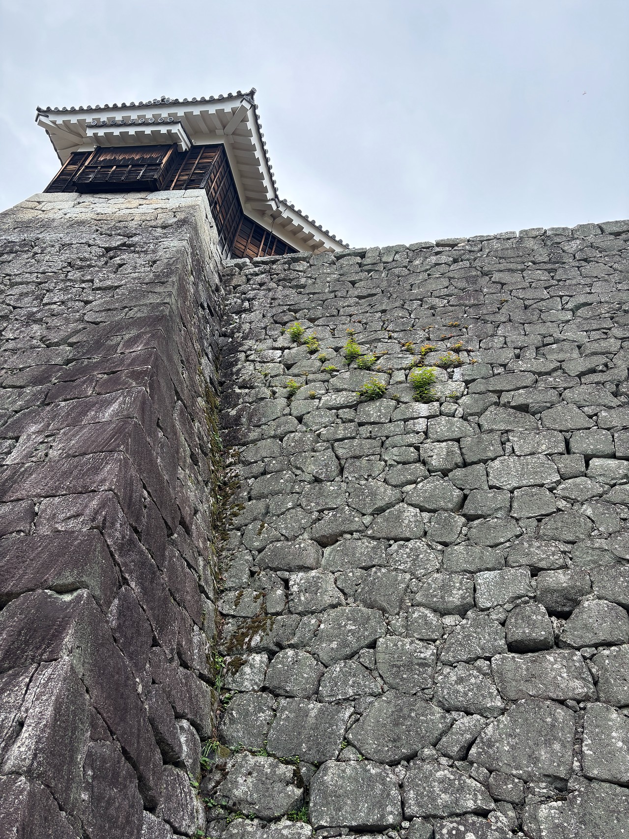松山城-5