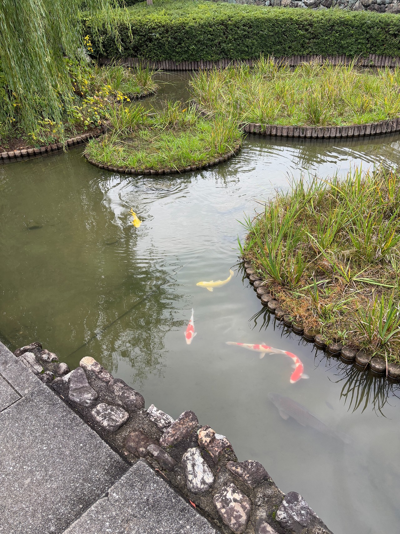 大洲城-5