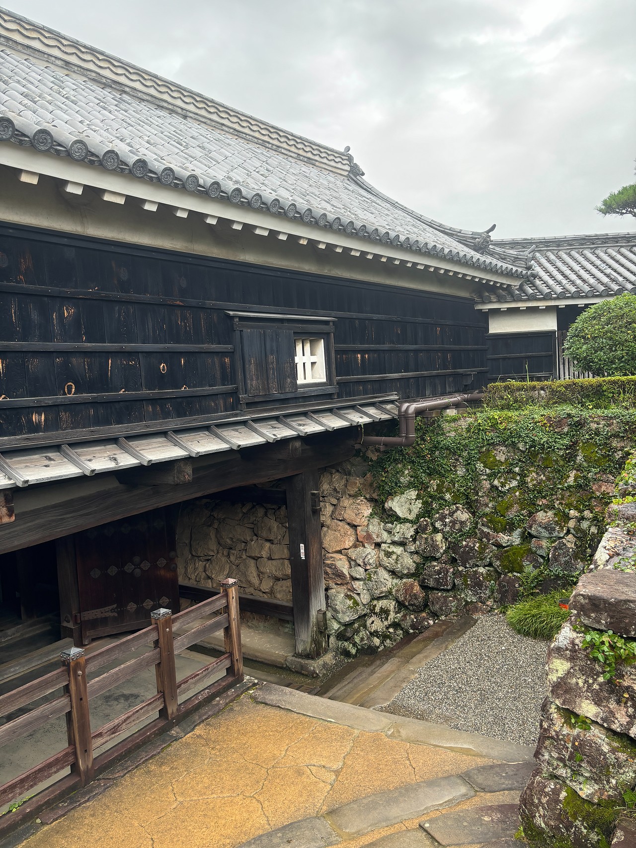 高知城-4
