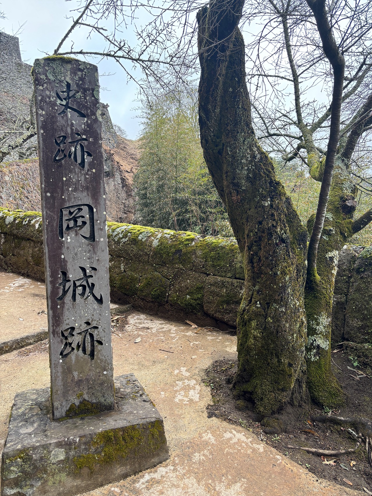 岡城-1