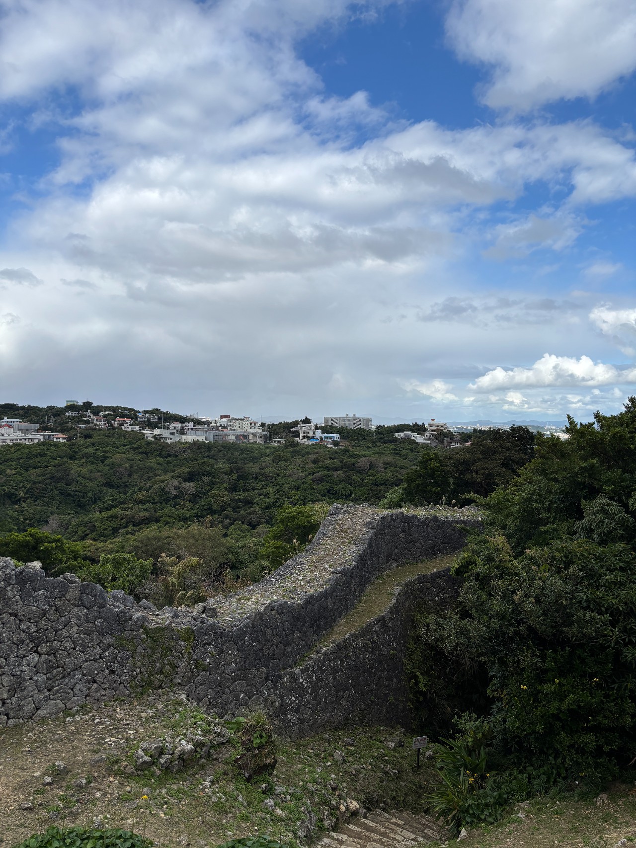 中城城-2