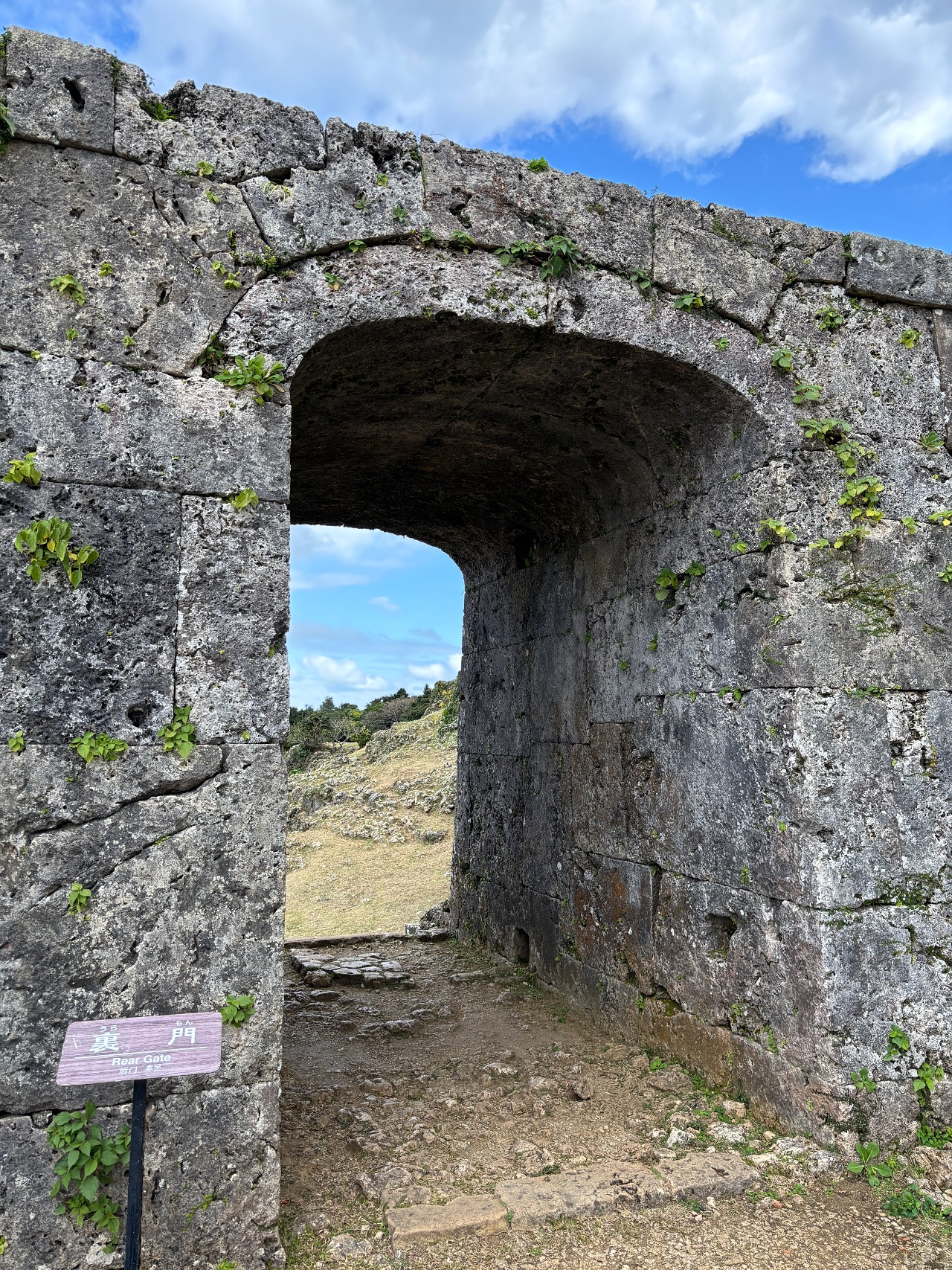 中城城-5