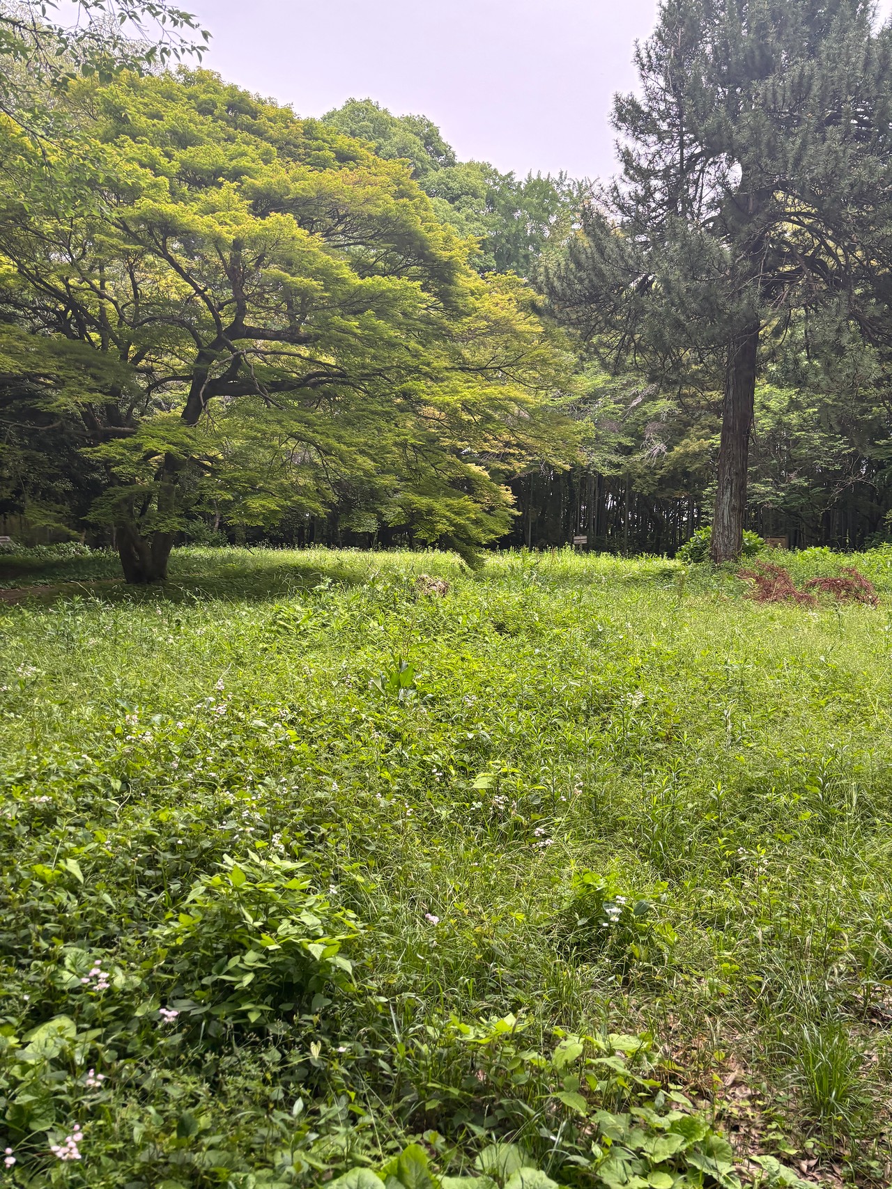 笠間城-5