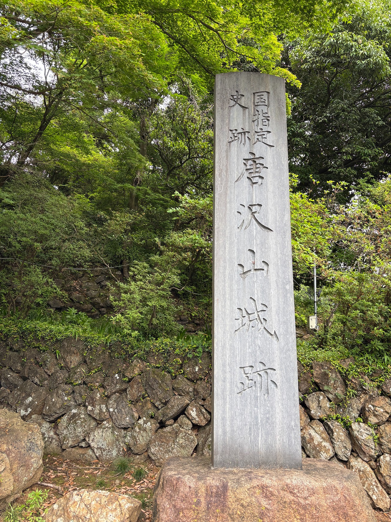 唐沢山城-1
