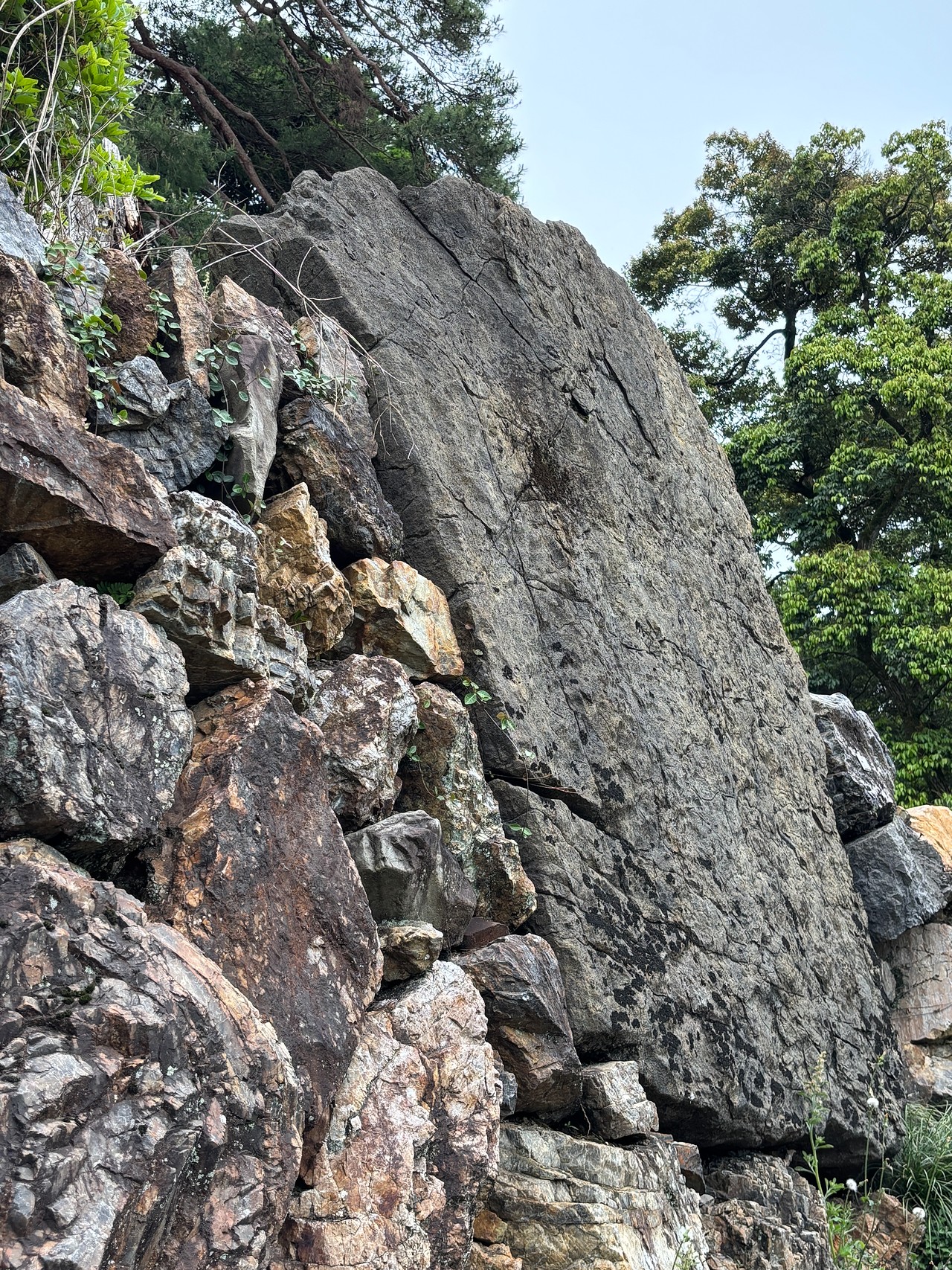 唐沢山城-3