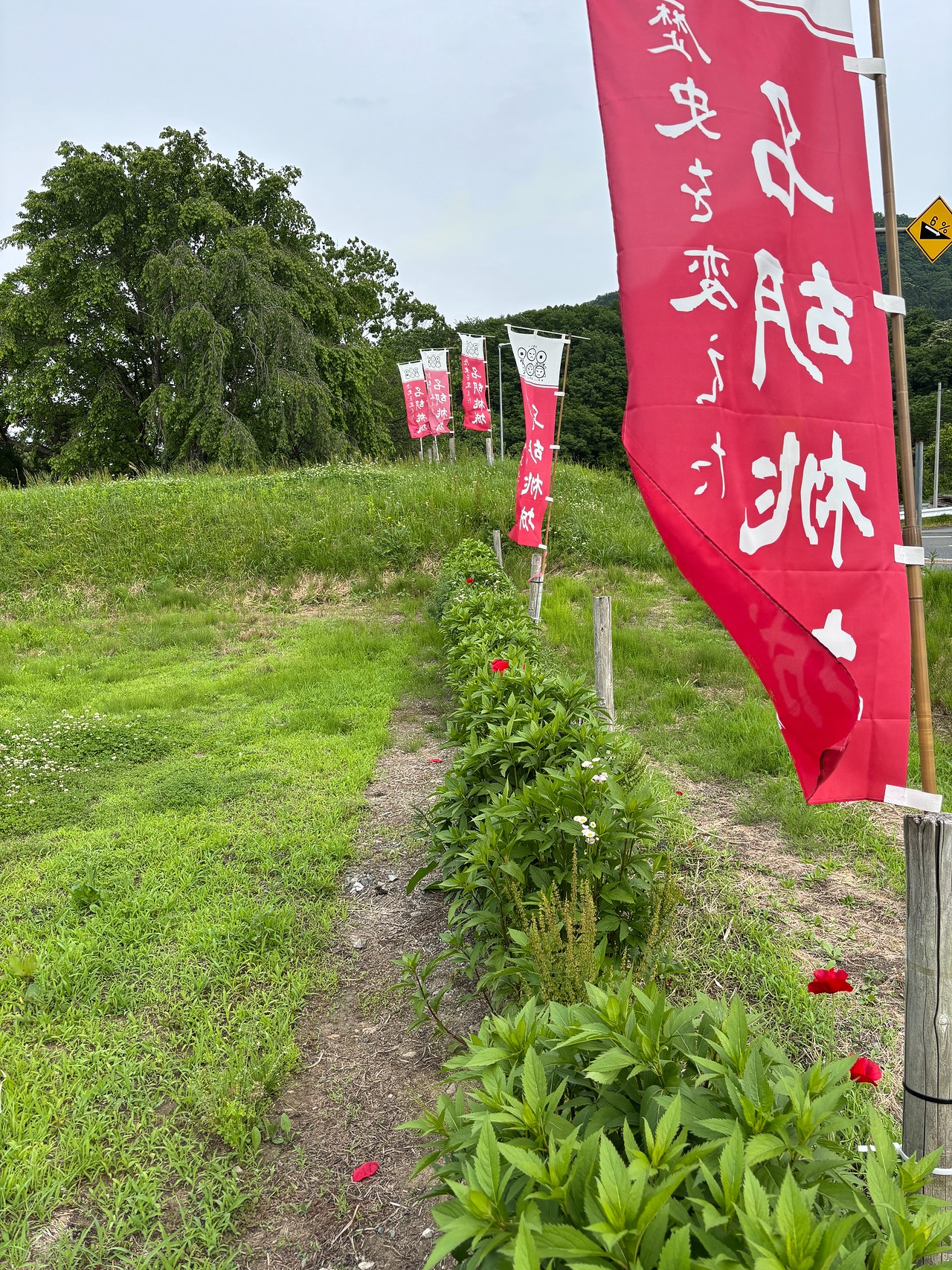 名胡桃城-1