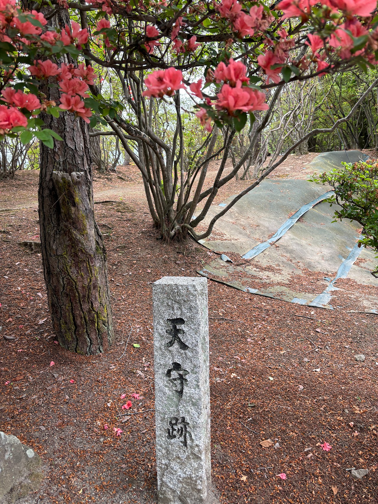 沼田城-5