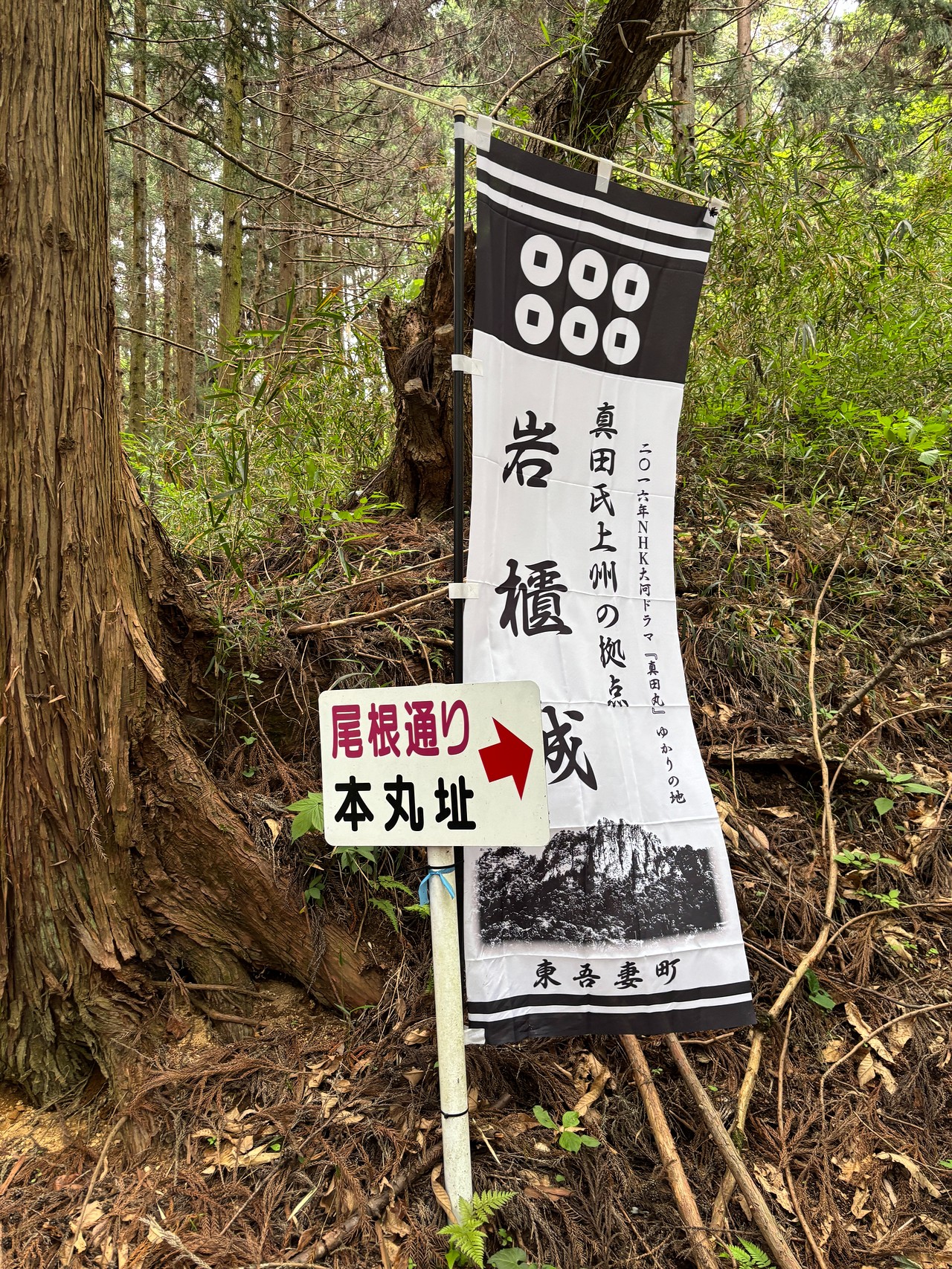岩櫃城-1