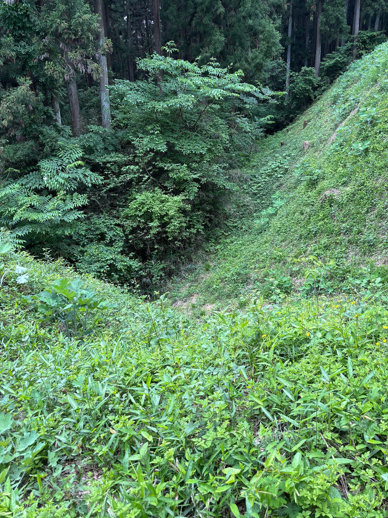 岩櫃城-5