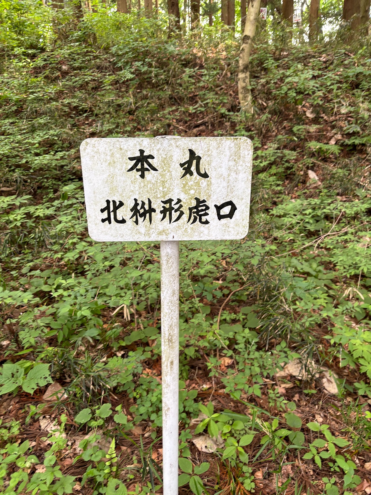 岩櫃城-4