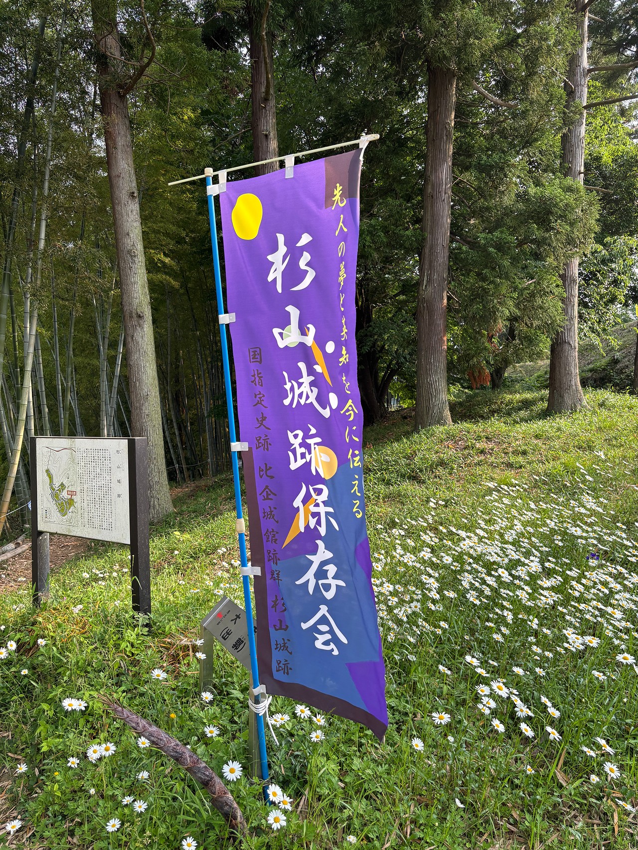 杉山城-5