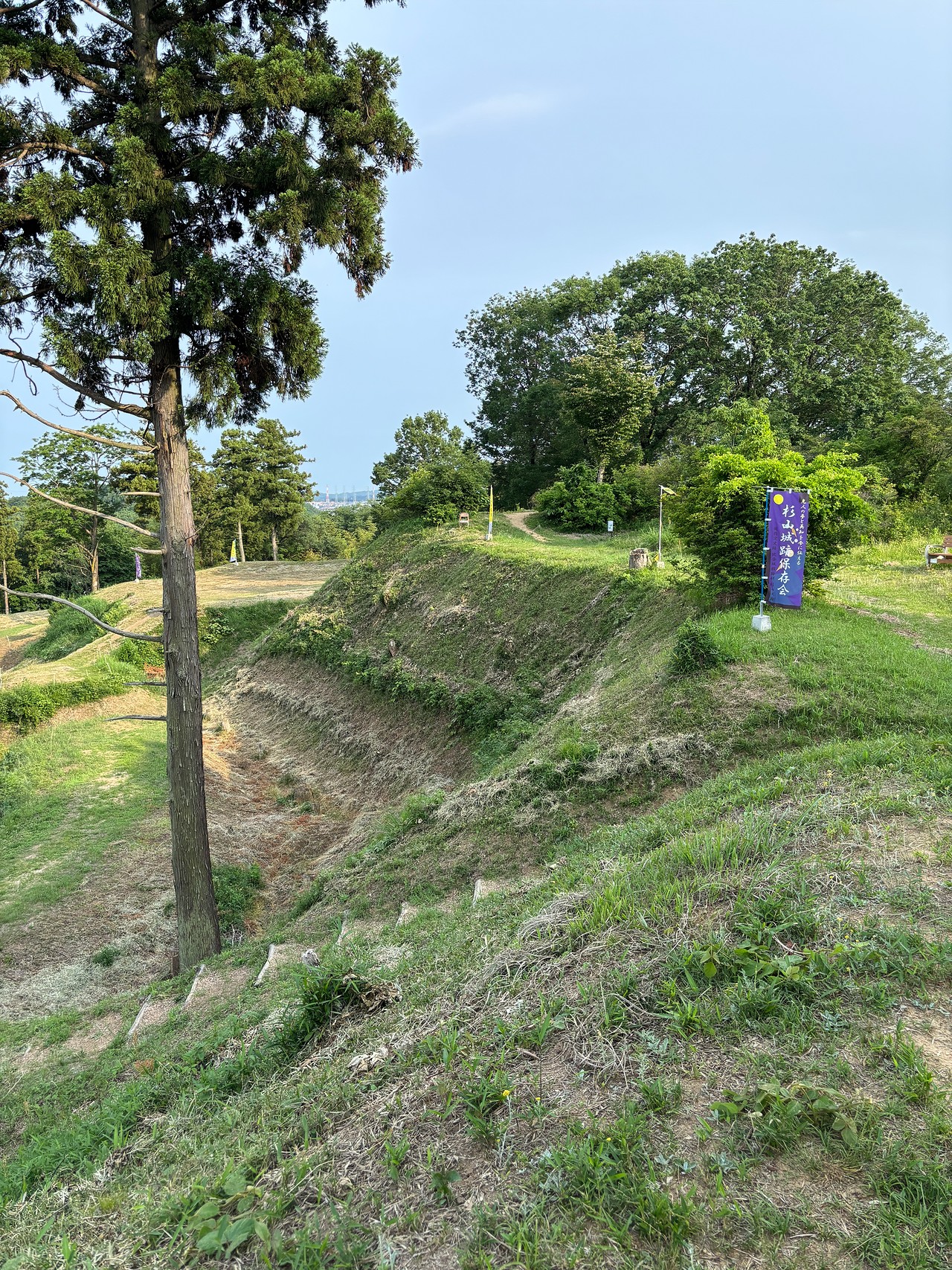杉山城-4