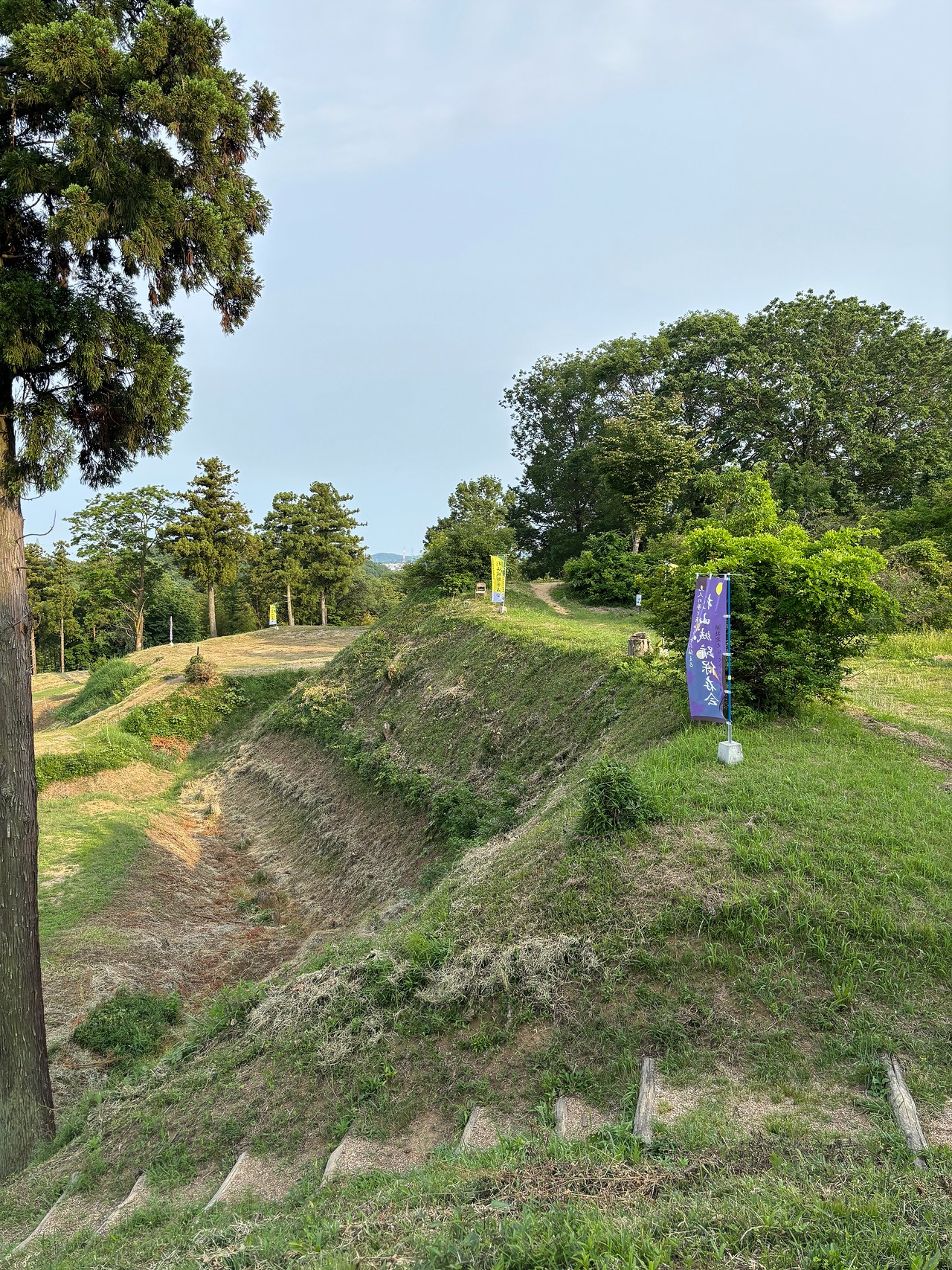 杉山城-1