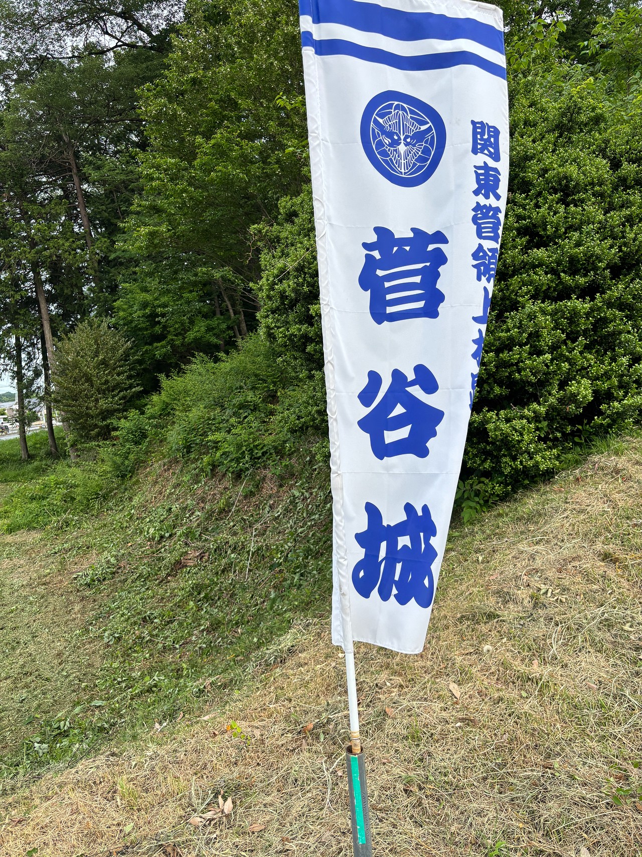 菅谷館-4
