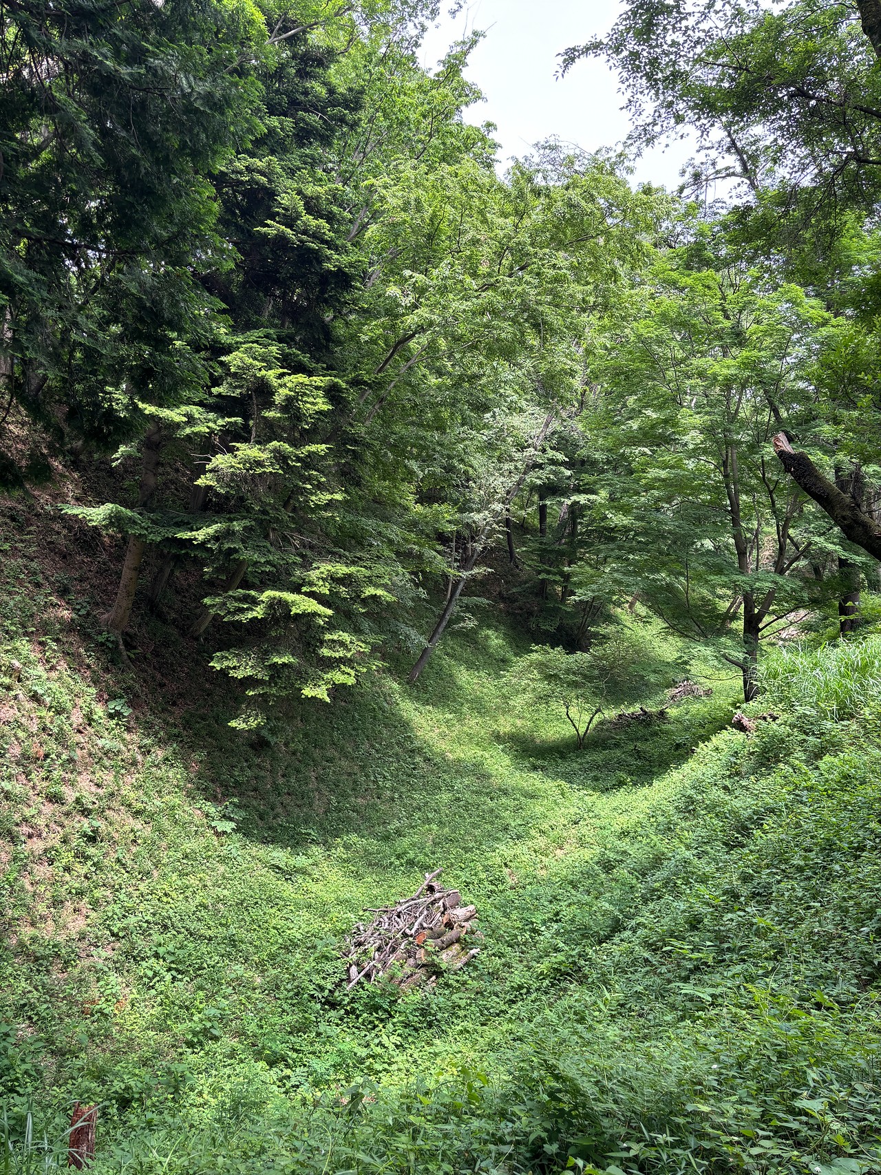 滝山城-1