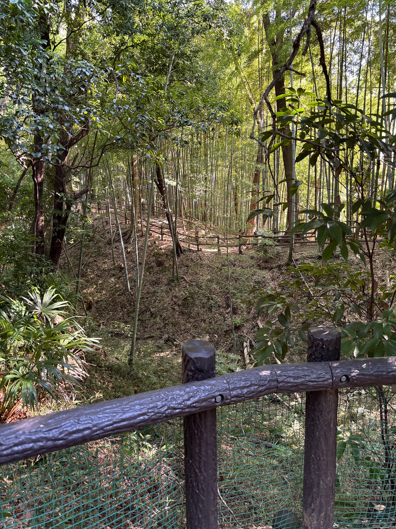 小机城-1