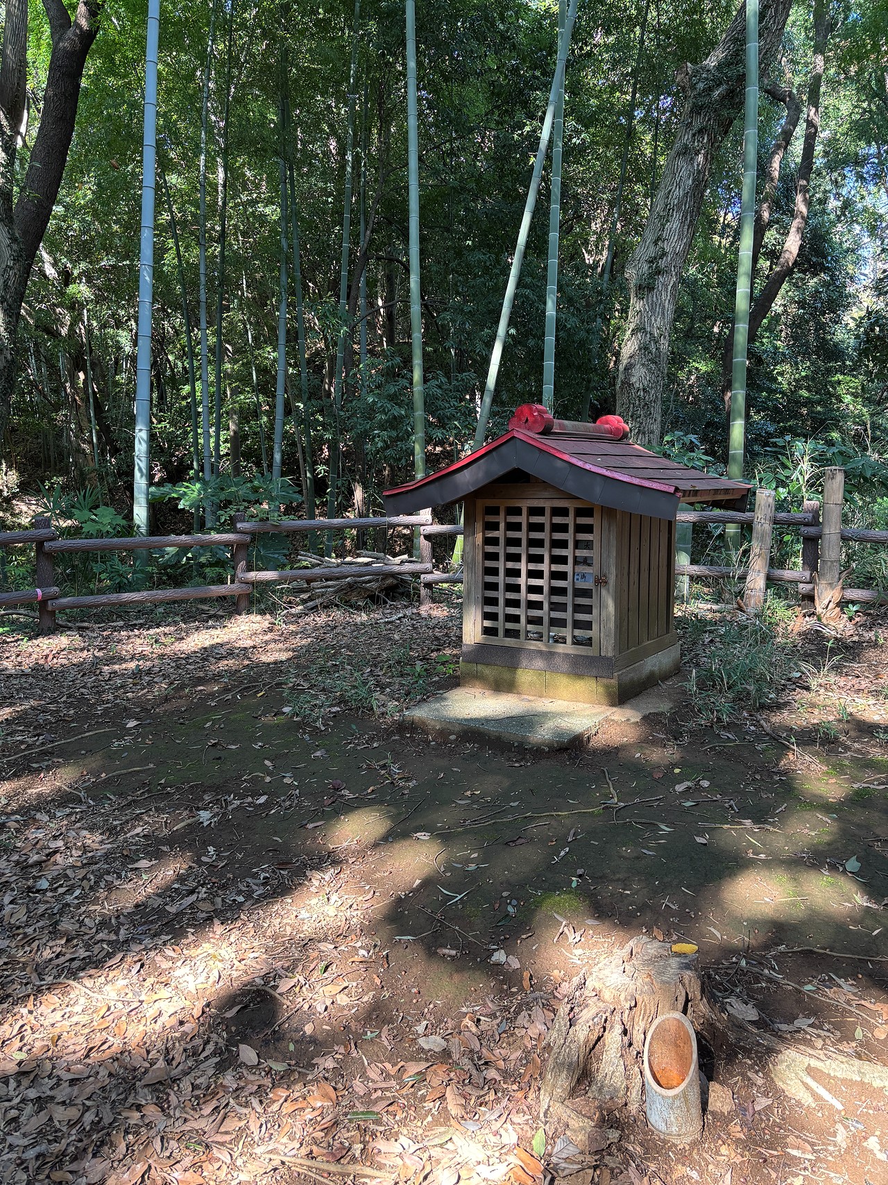 小机城-4