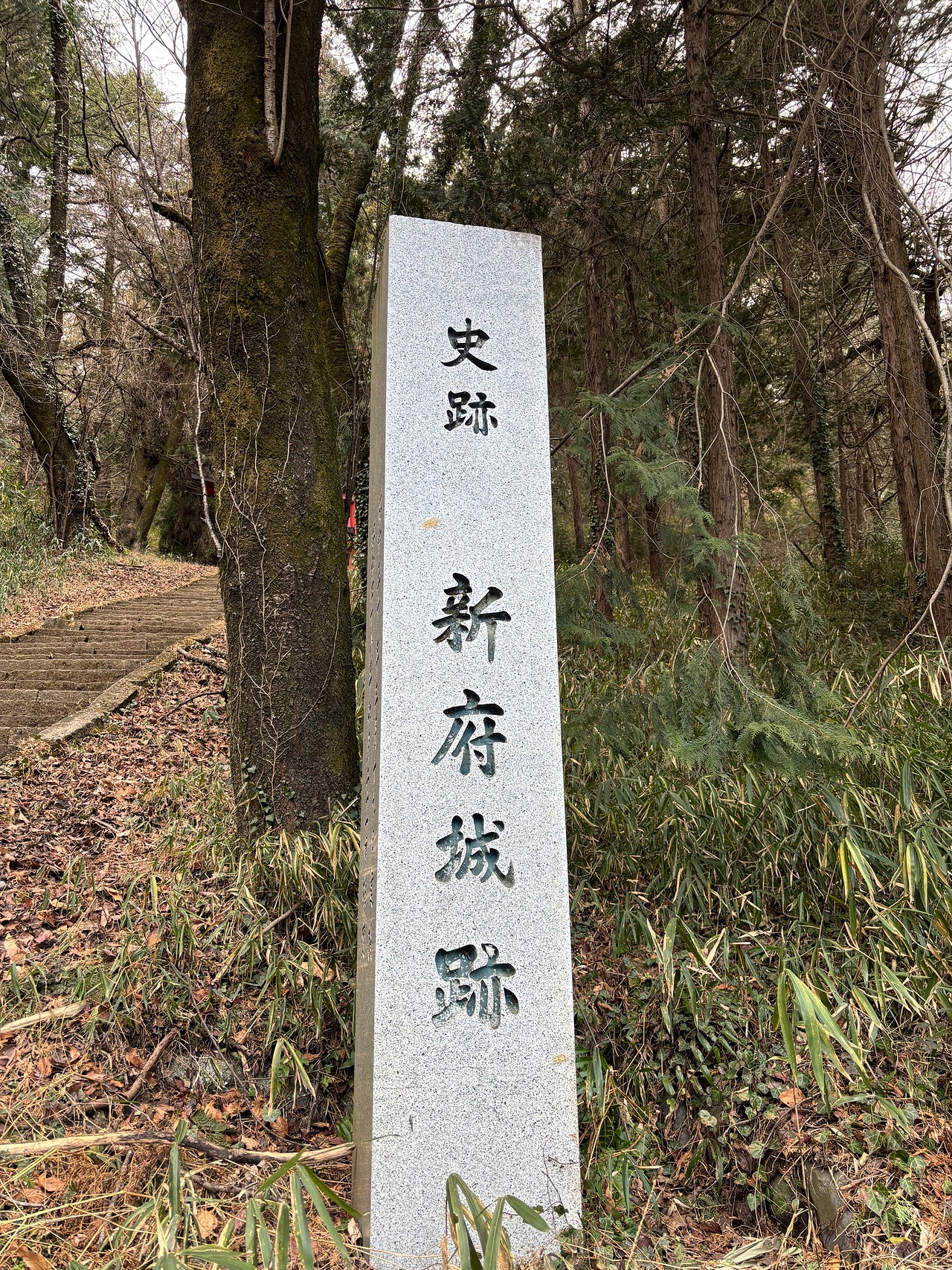 新府城-2